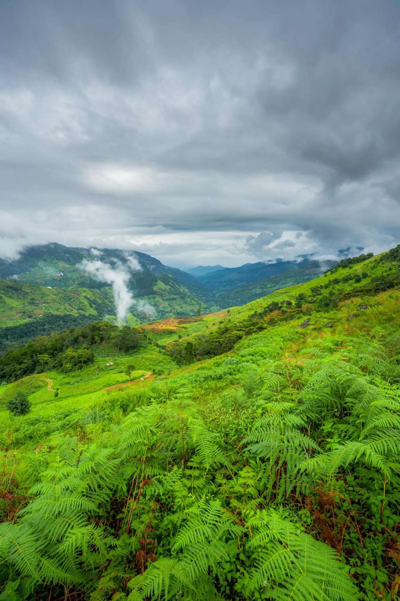 Natural landscape in Mandaram Eco Resort