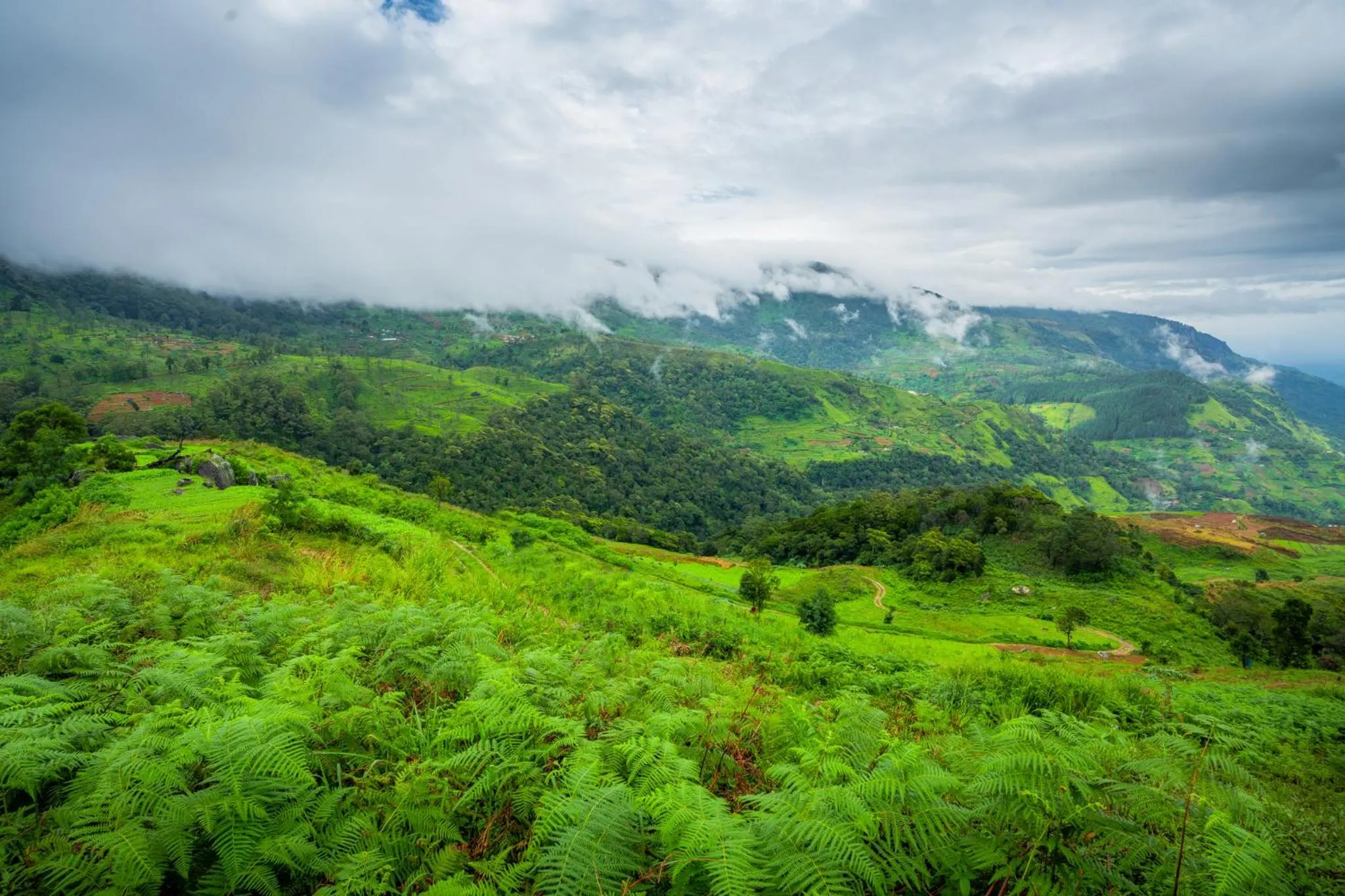 Natural landscape in Mandaram Eco Resort