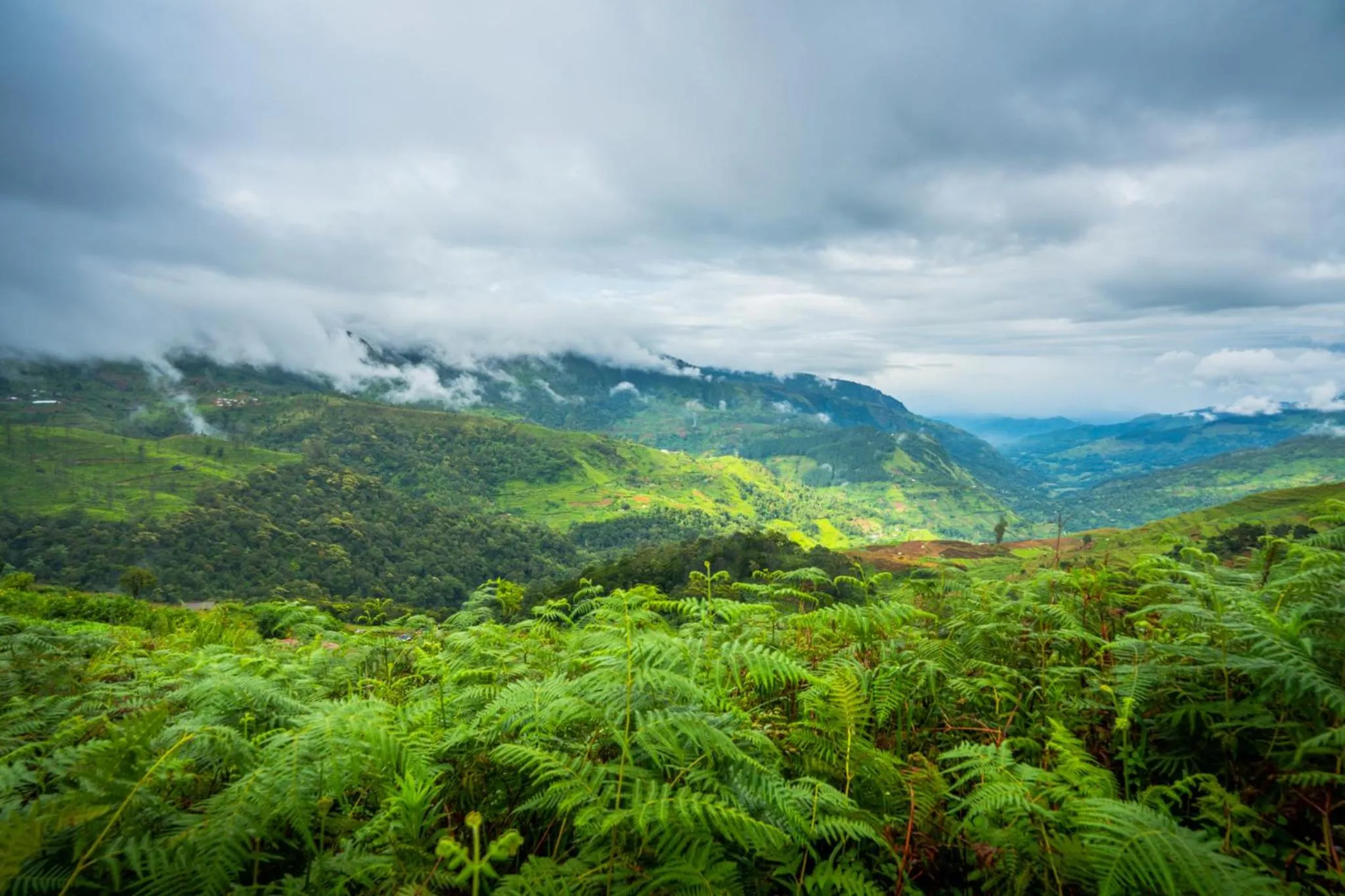 Mountain view in Mandaram Eco Resort