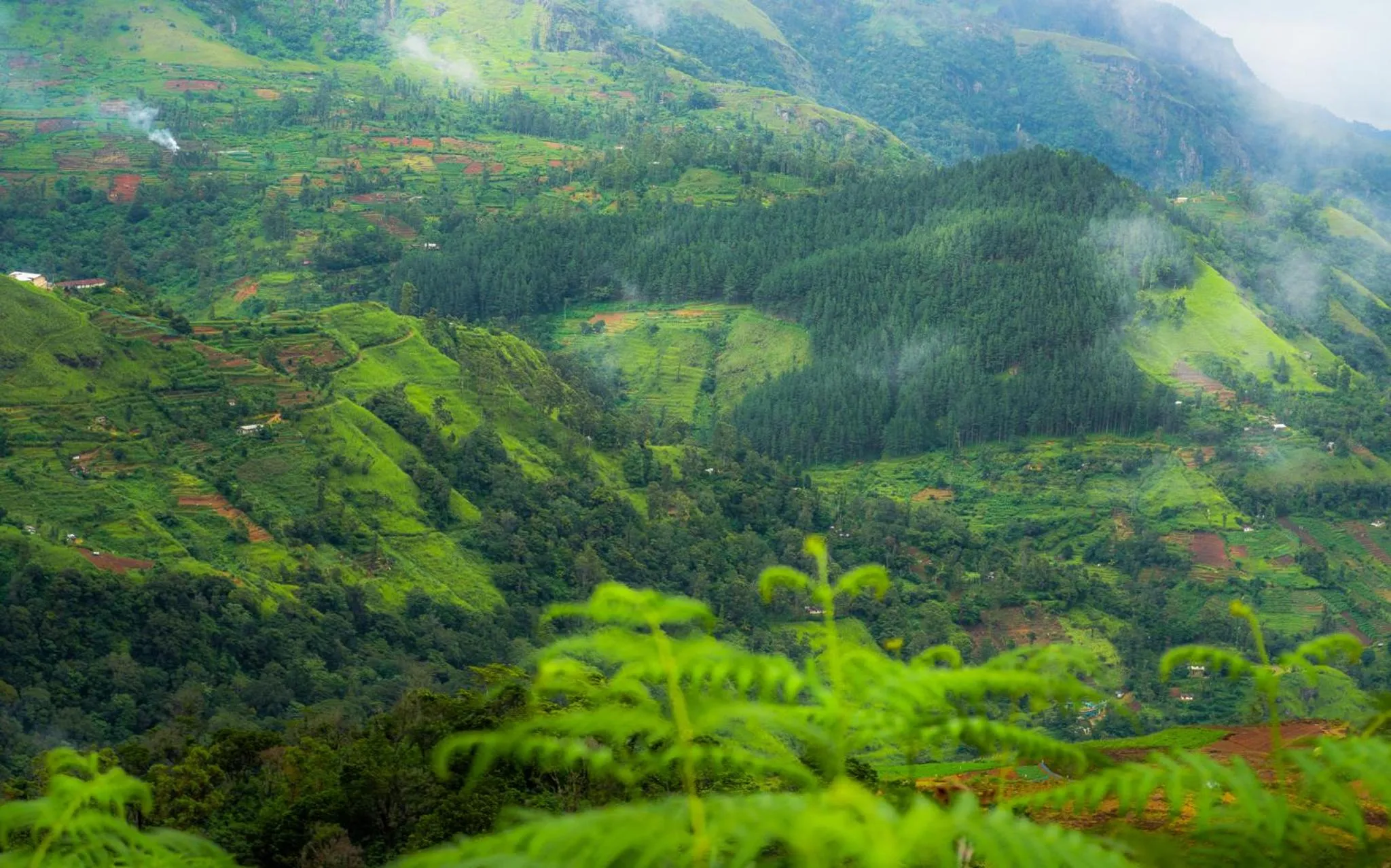 Natural landscape in Mandaram Eco Resort
