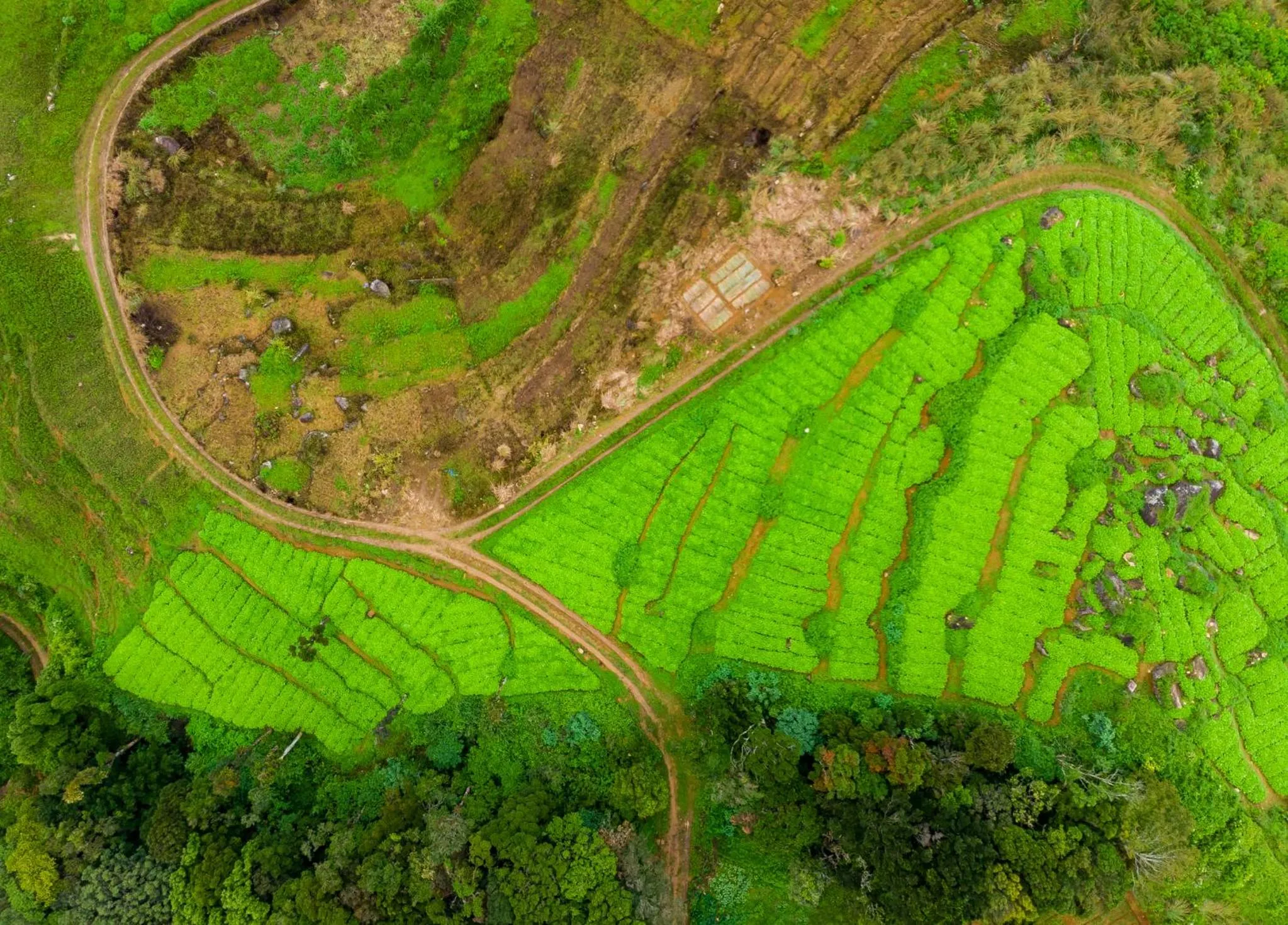 Bird's eye view in Mandaram Eco Resort