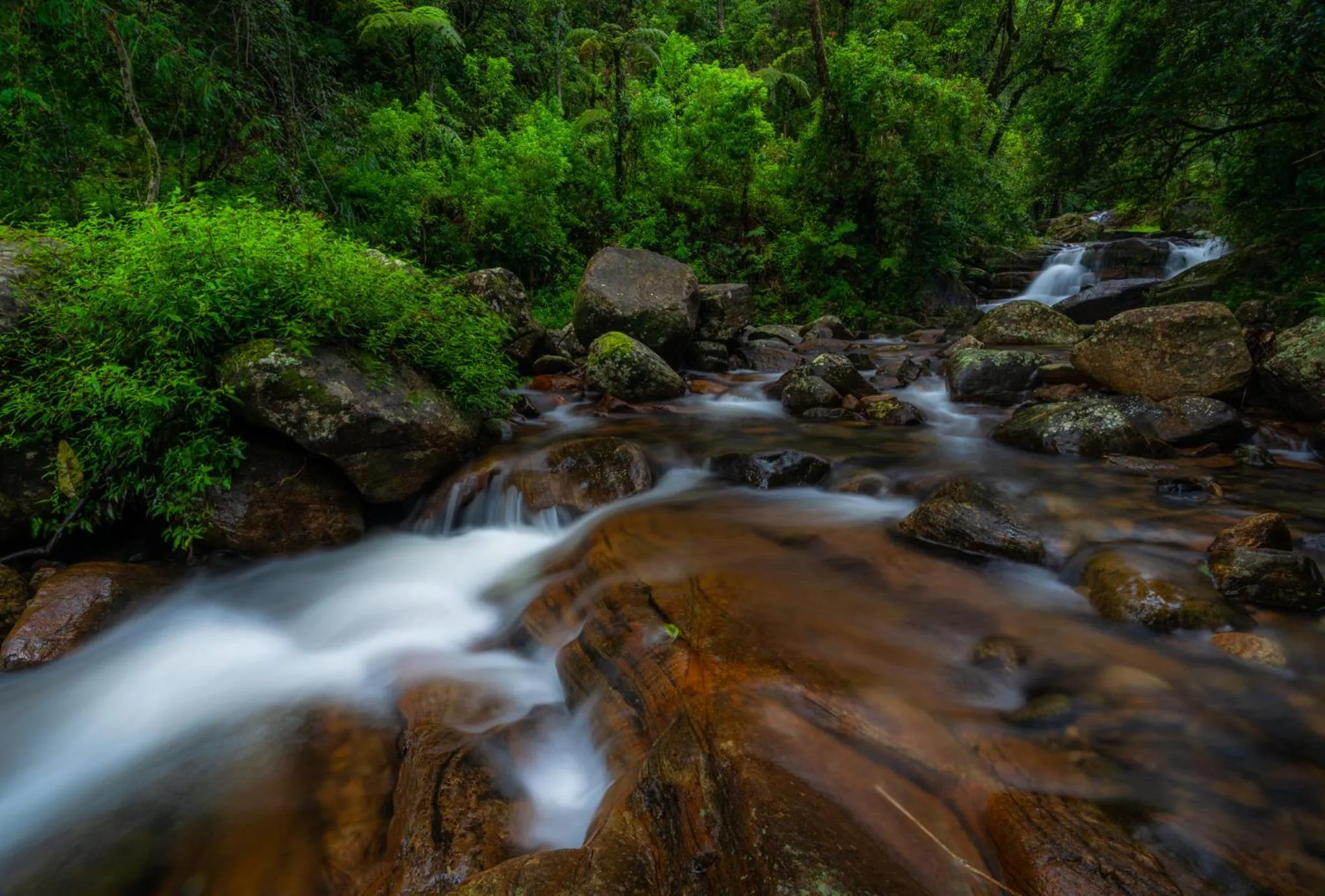 Natural landscape in Mandaram Eco Resort
