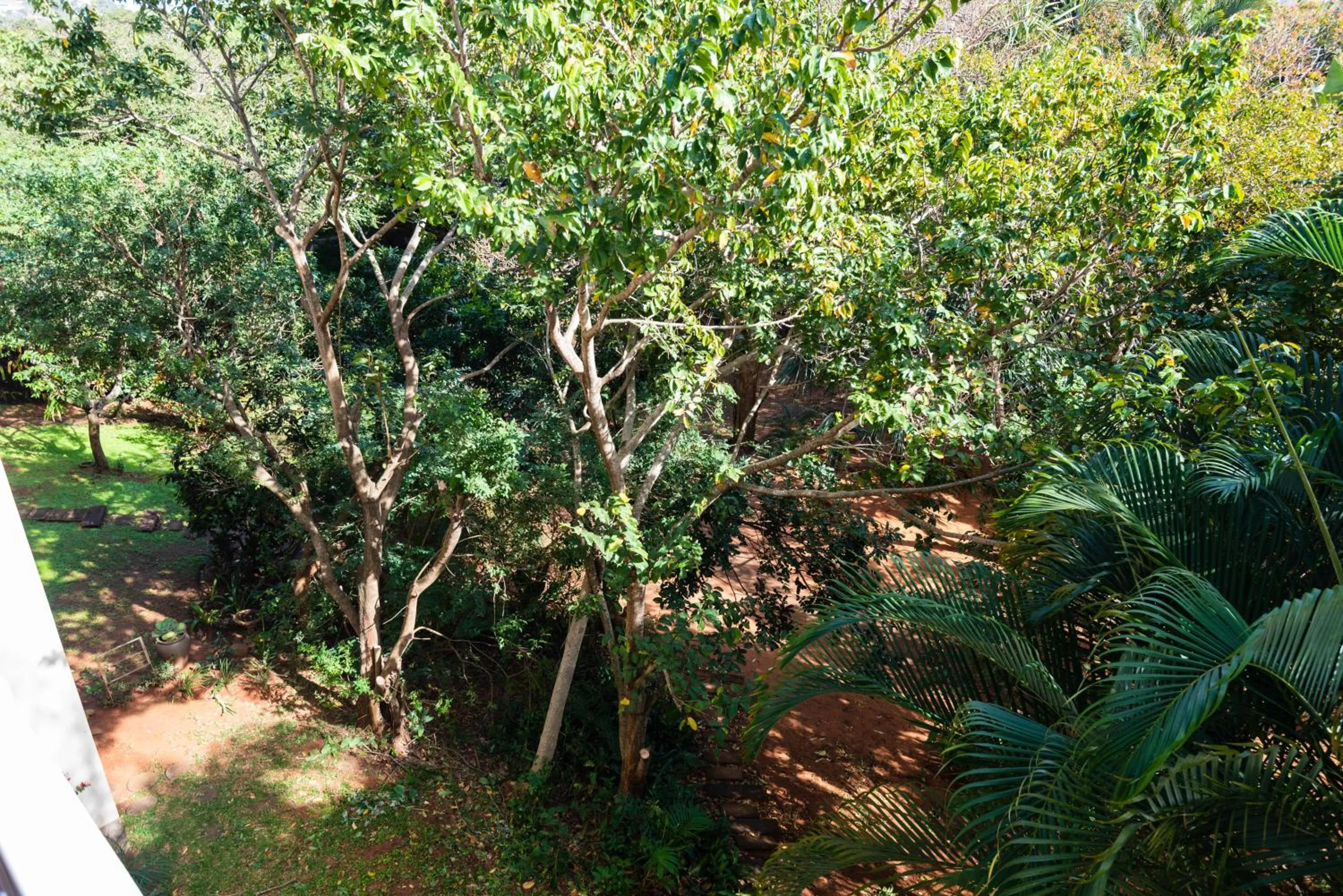 Garden in Villa Med 28