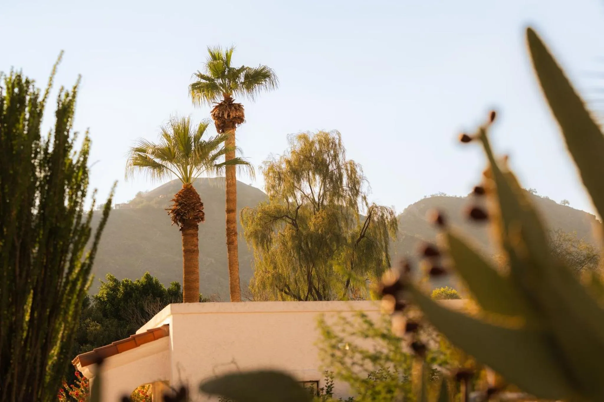 Other in Kimpton Miralina Resort and Villas by IHG