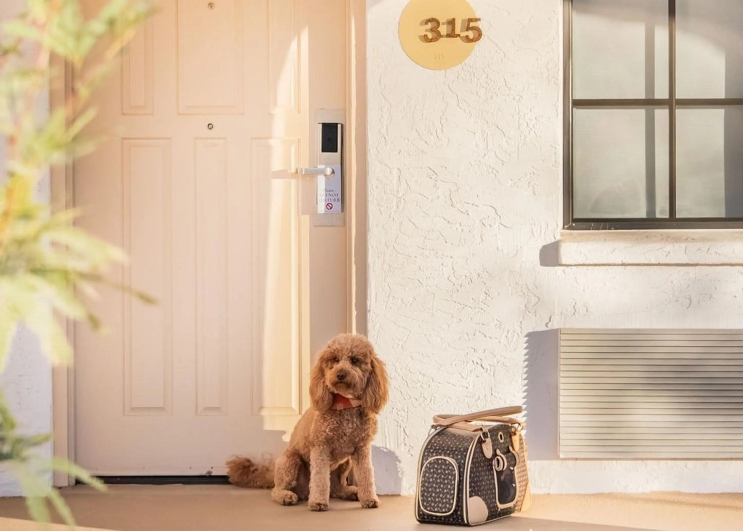 Lobby or reception in Kimpton Miralina Resort and Villas by IHG