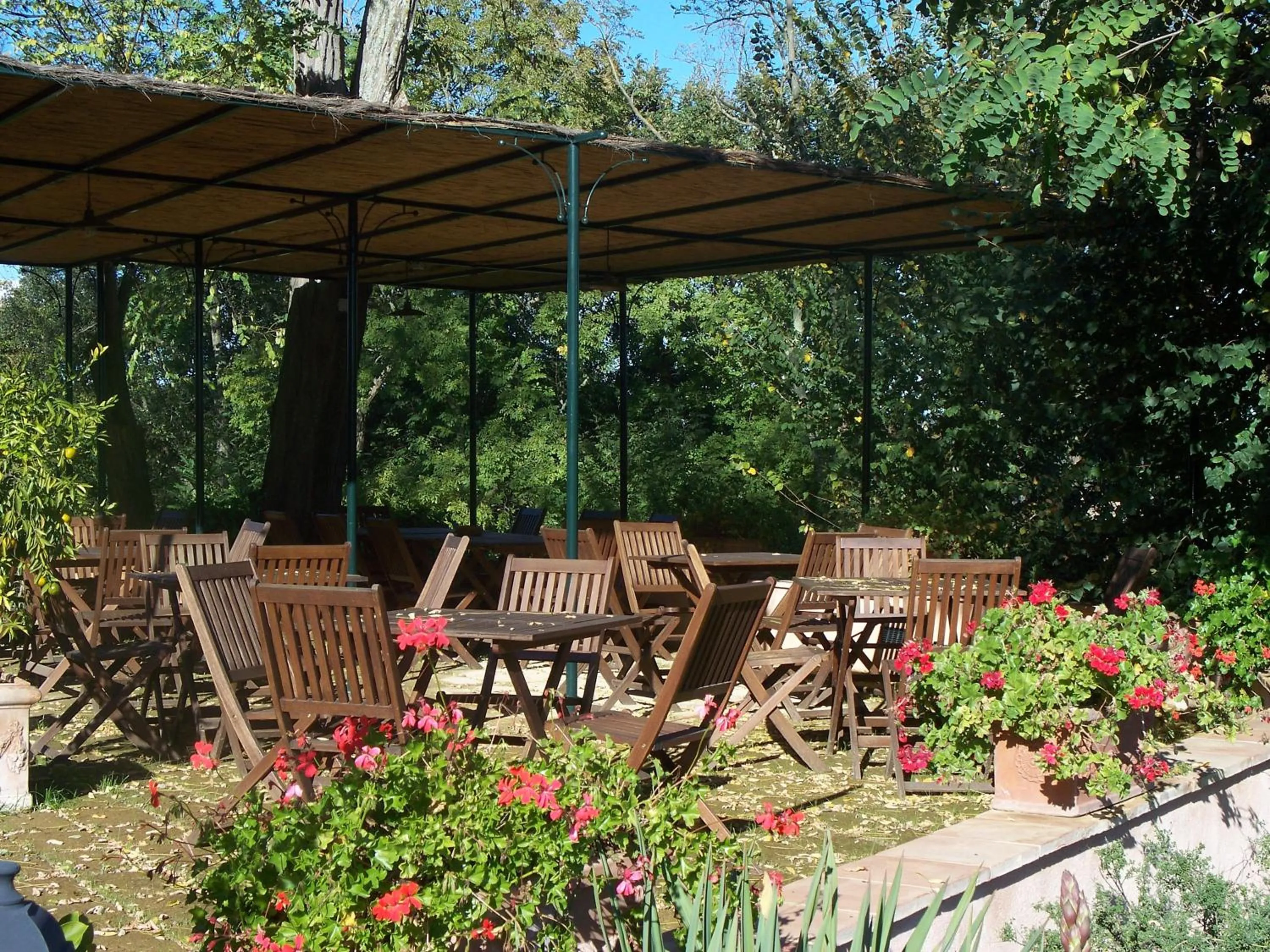 Restaurant/places to eat in Torraccia di Chiusi Agriturismo Relais