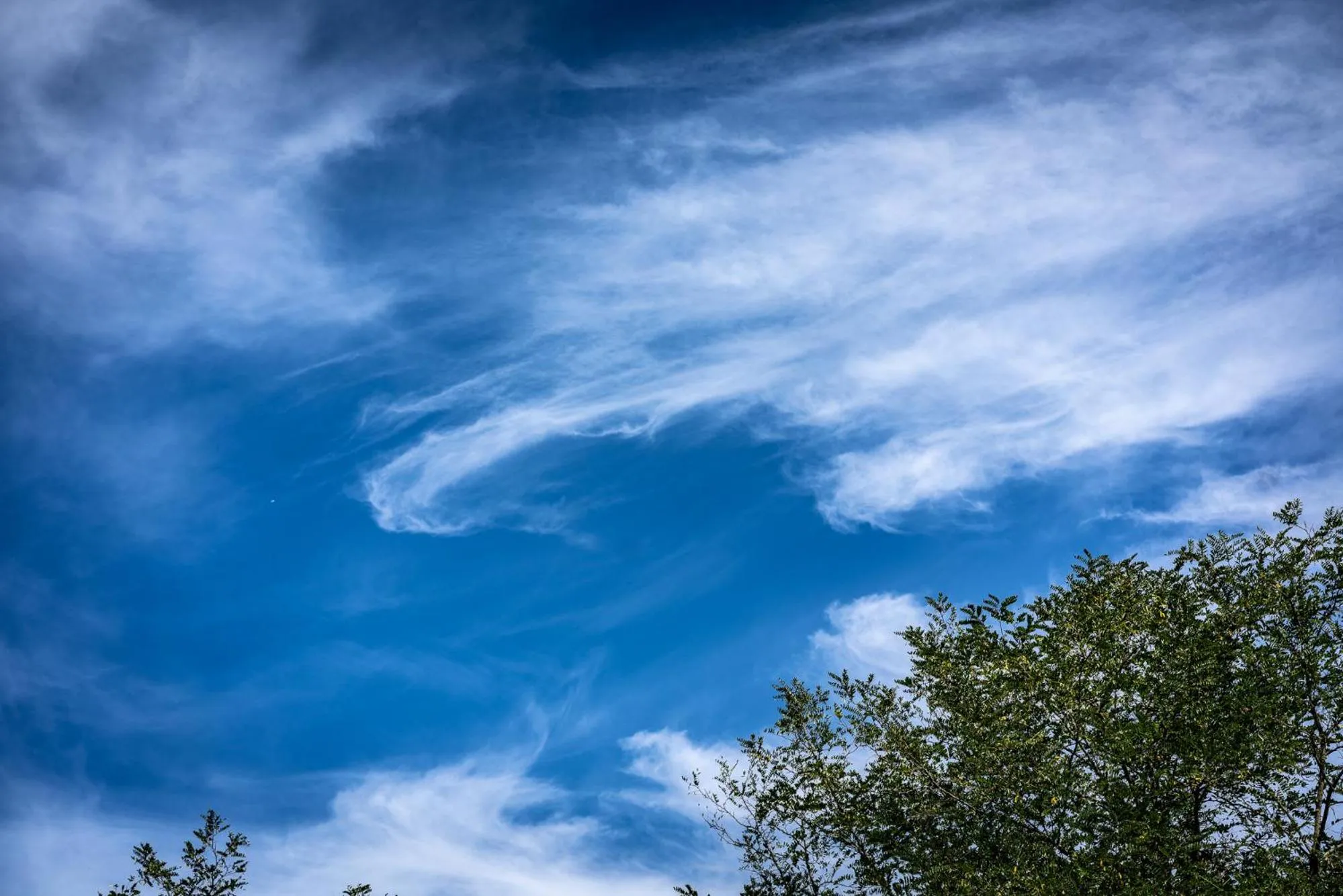 View (from property/room) in Torraccia di Chiusi Agriturismo Relais