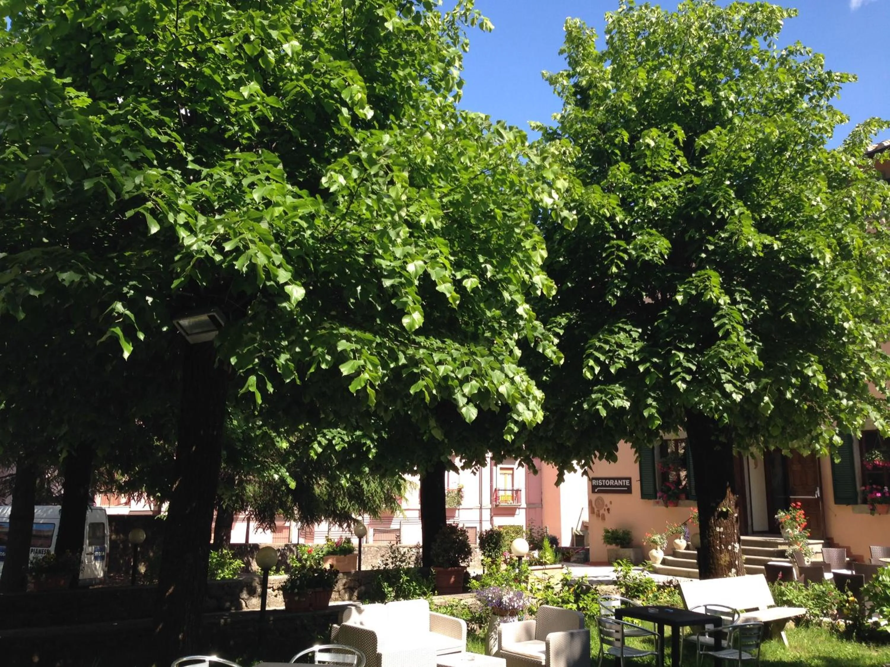 Garden in Hotel Fabbrini