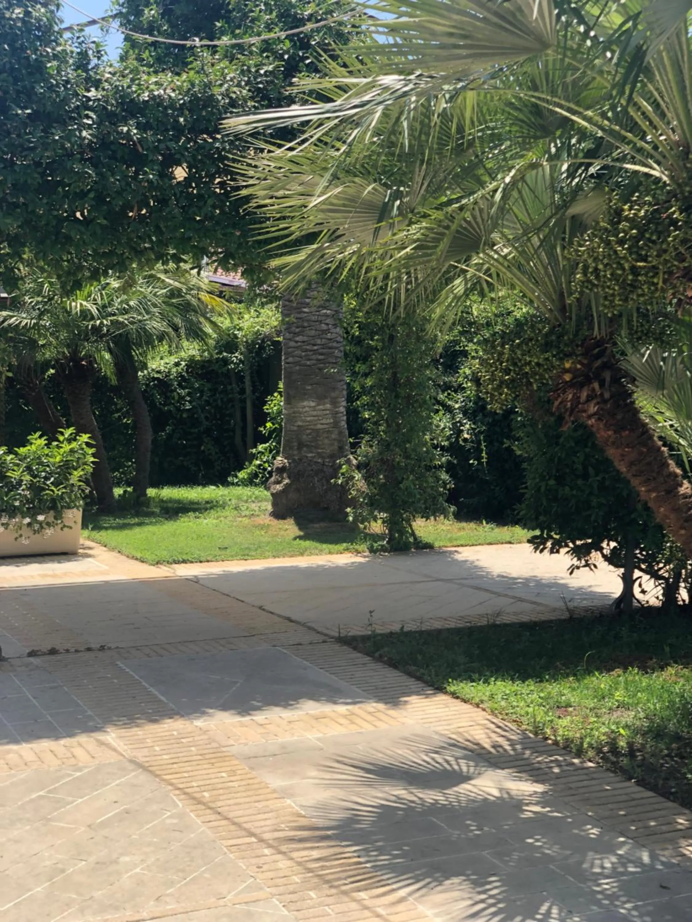Garden view in Albergo Conca D'Oro