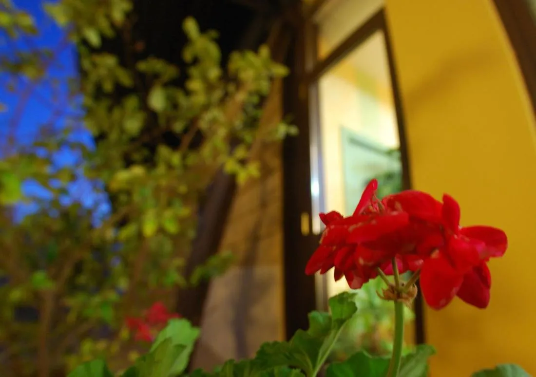 Garden in Albergo Conca D'Oro