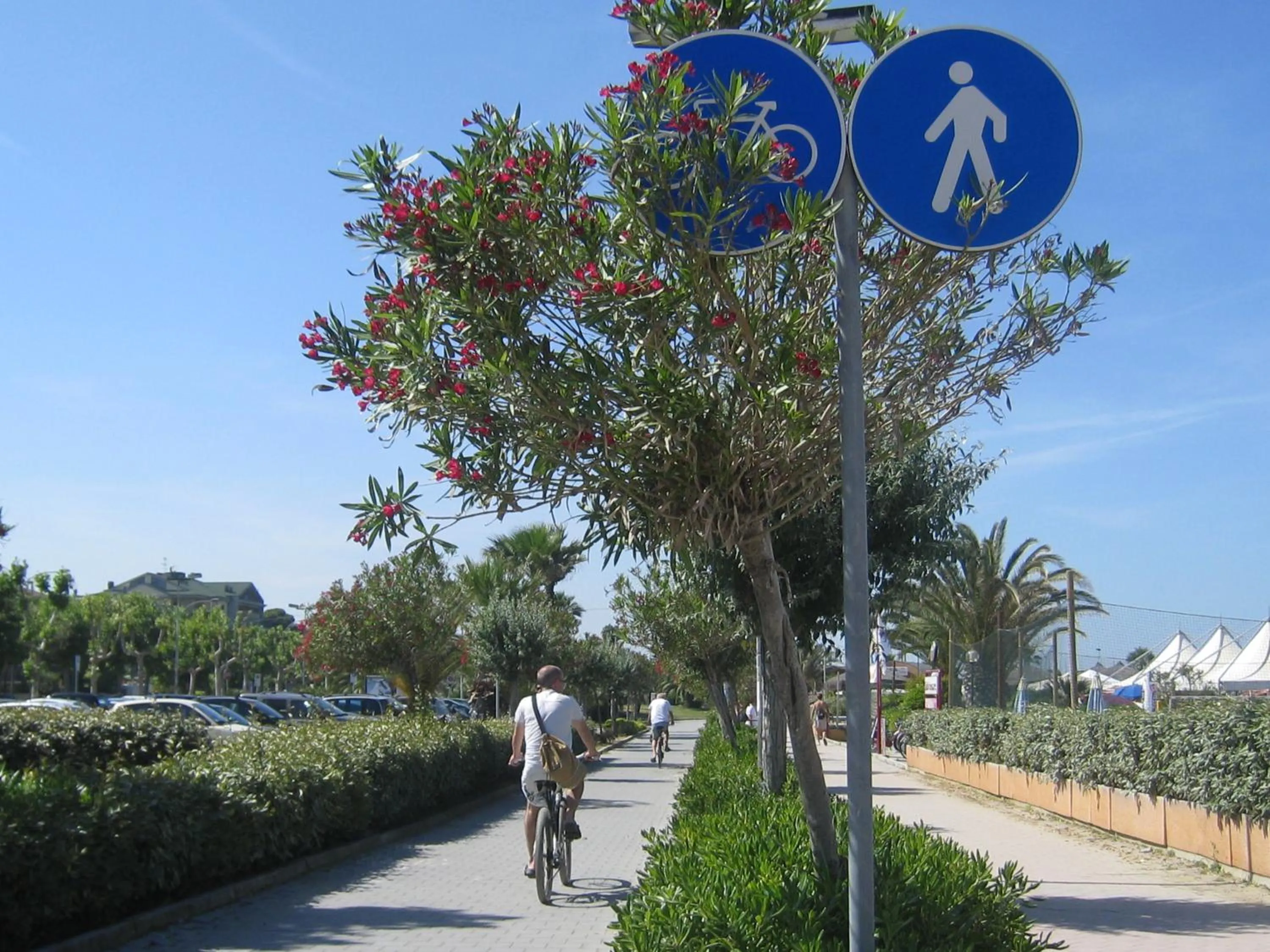 Area and facilities in Hotel Miramare