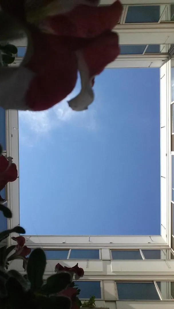 Other in Hotel Miramare