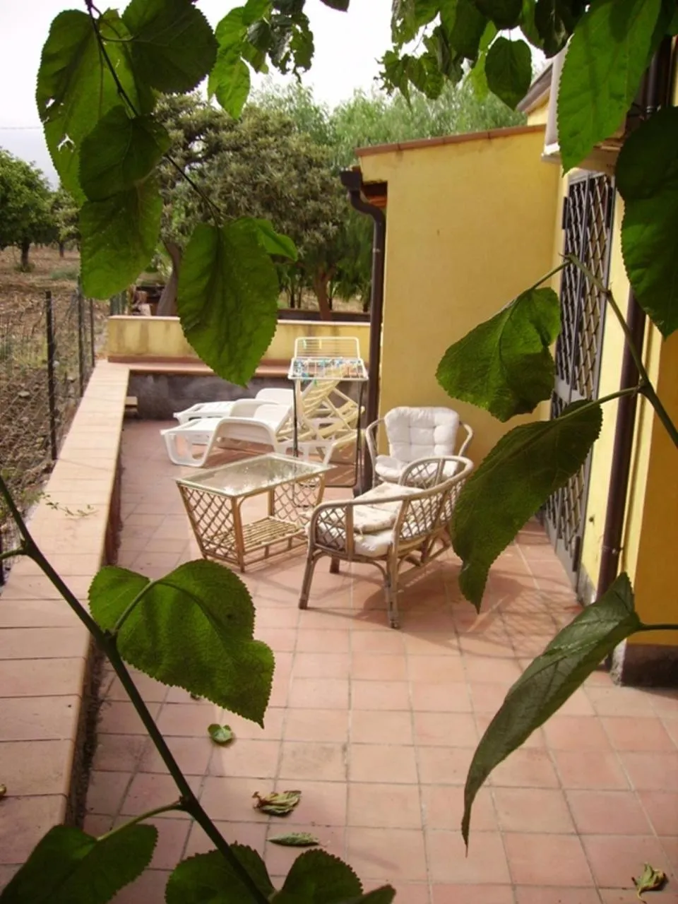 Balcony/Terrace in Oasi Del Fiumefreddo