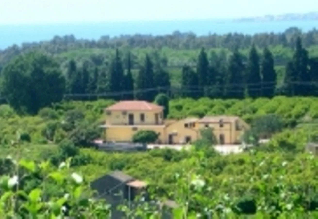 Property building in Oasi Del Fiumefreddo