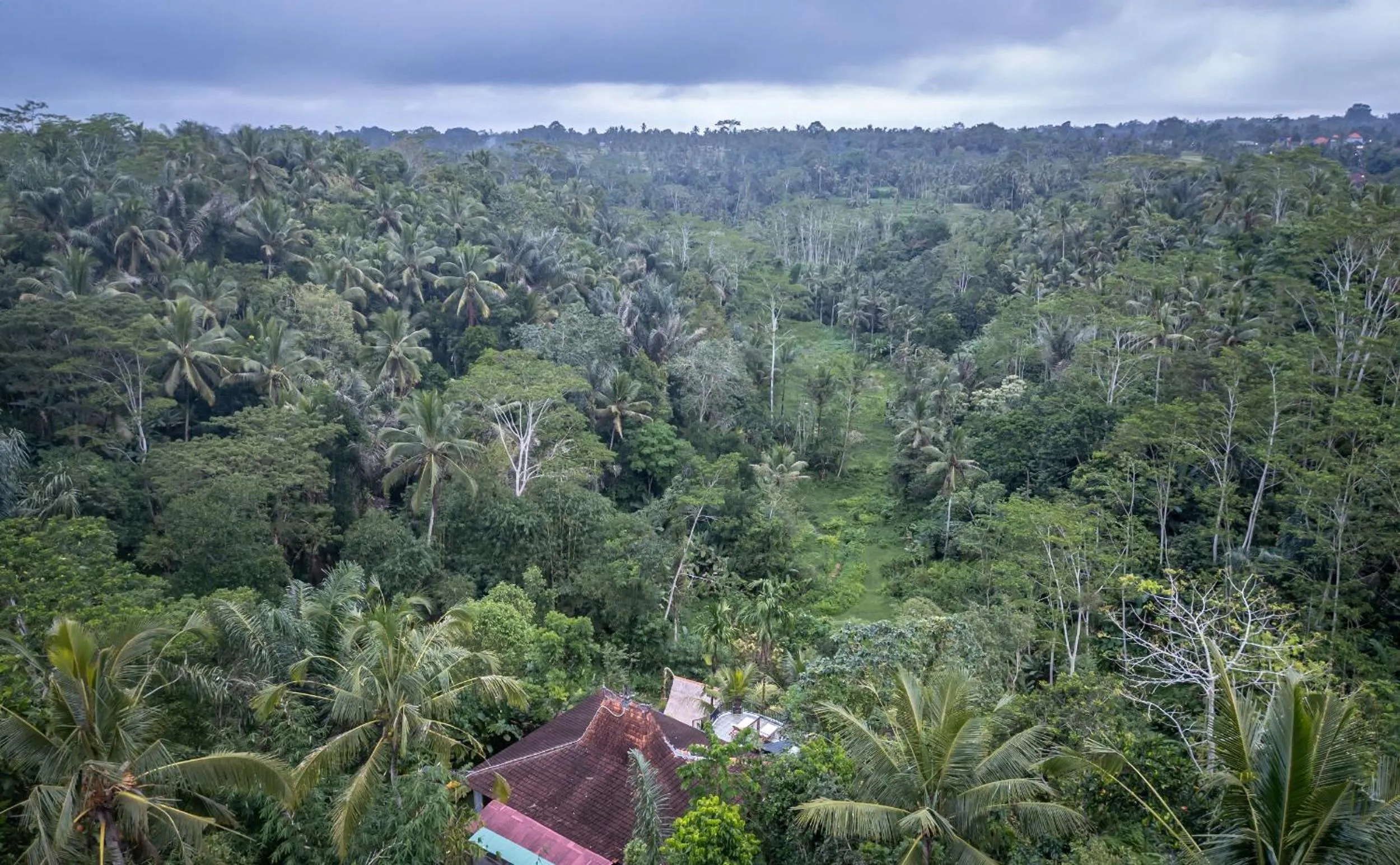 Natural landscape in Yoga Maya Villa