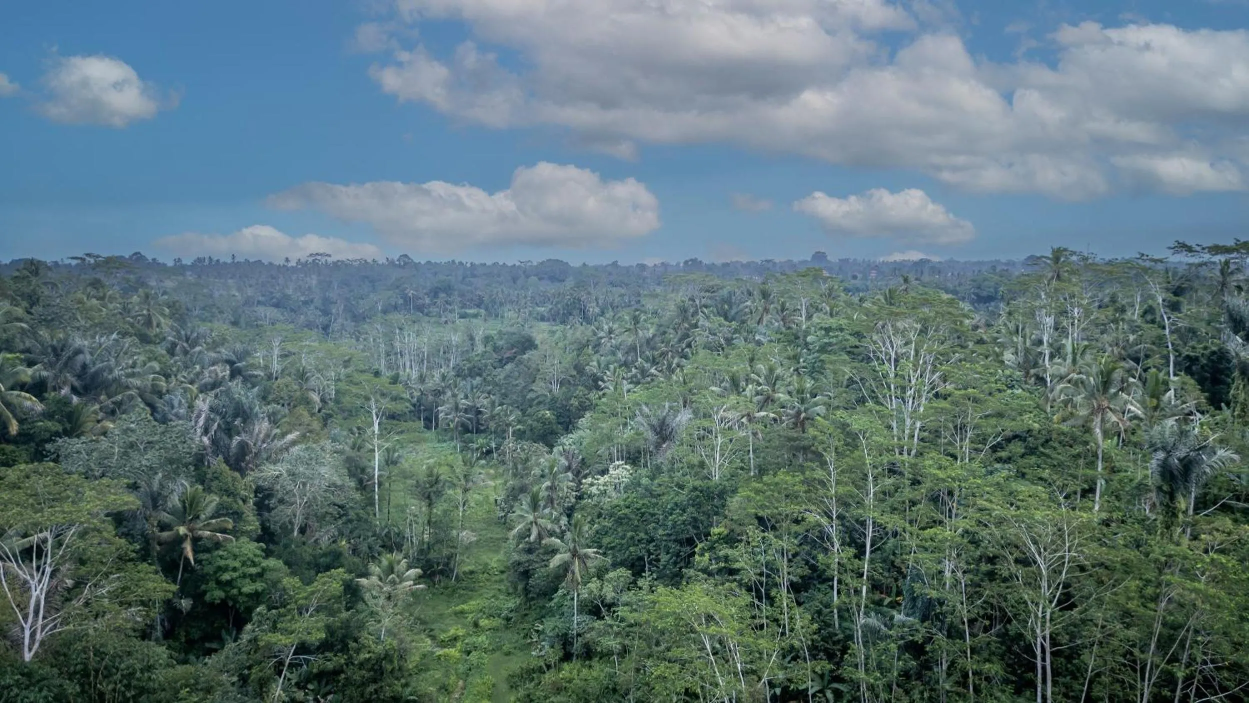 Bird's eye view in Yoga Maya Villa