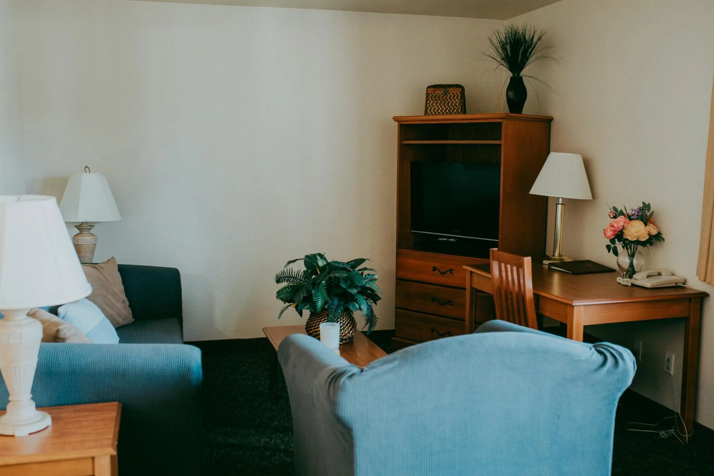 TV and multimedia in Carson City Plaza Hotel