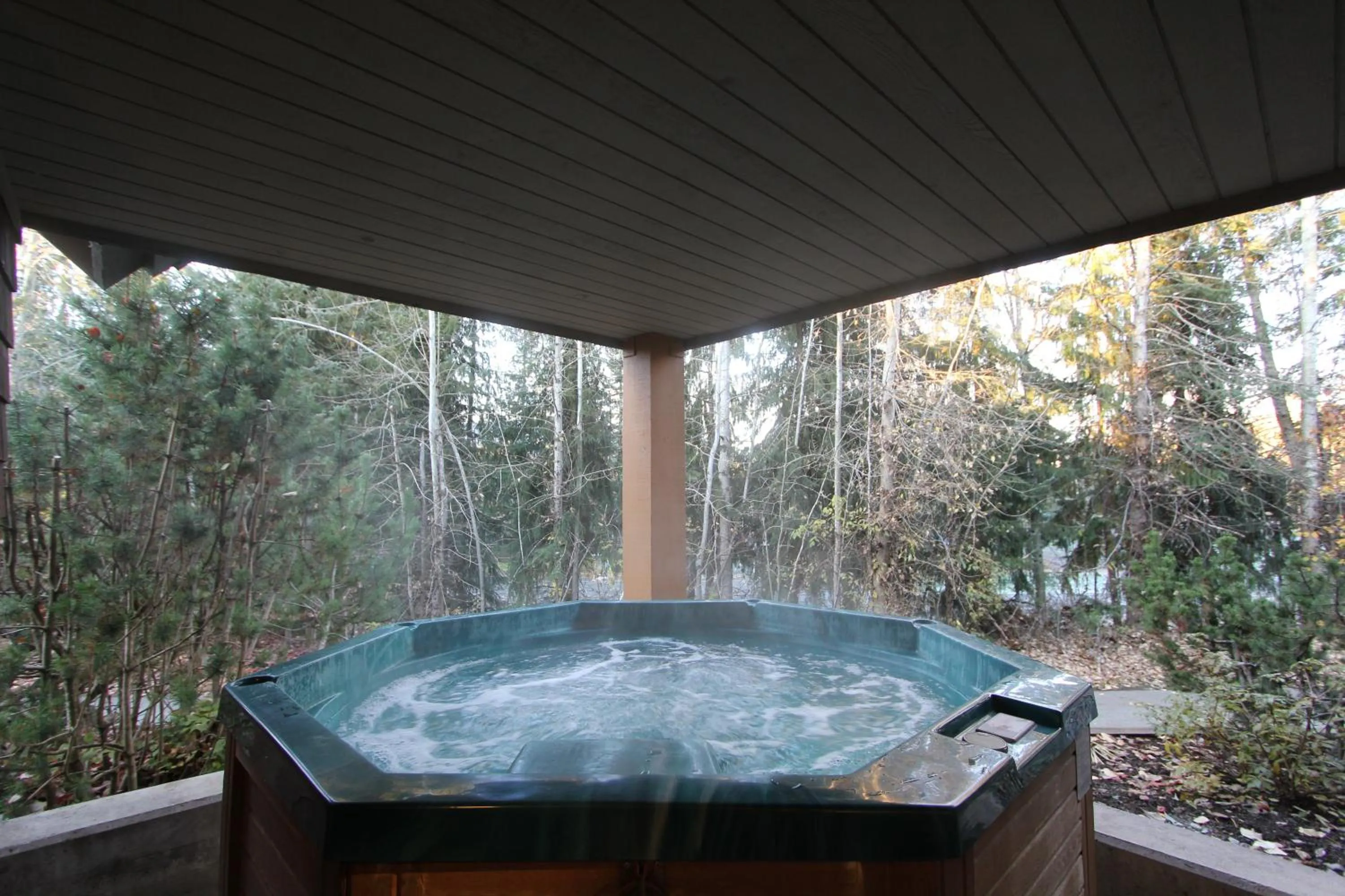 Day in Glacier's Reach by Whistler Retreats