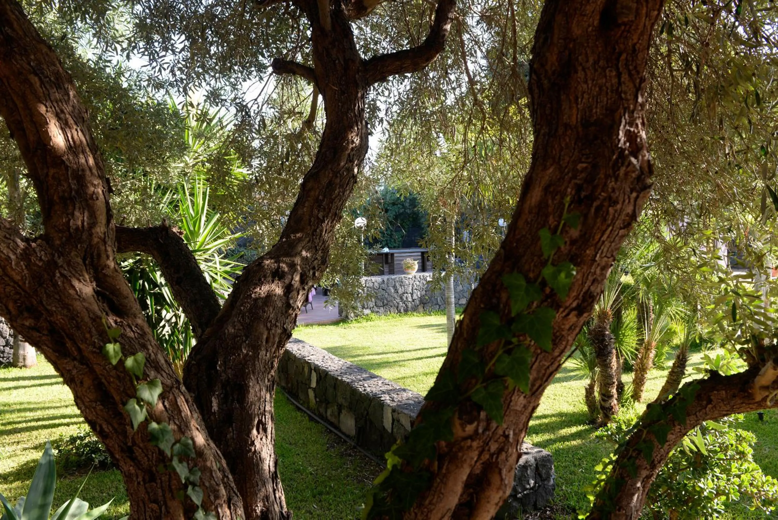 Garden in Borgo Barone