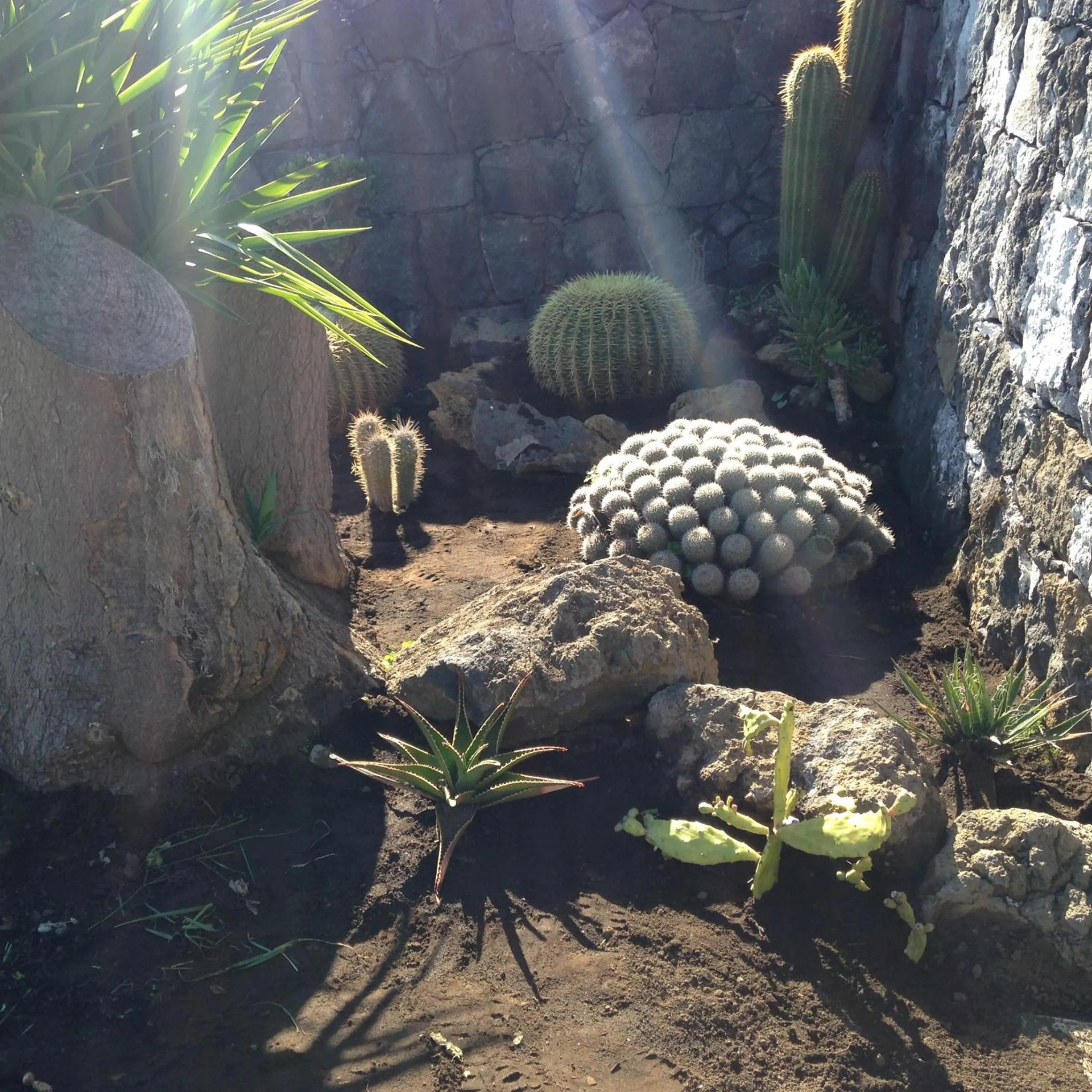 Garden in Borgo Barone