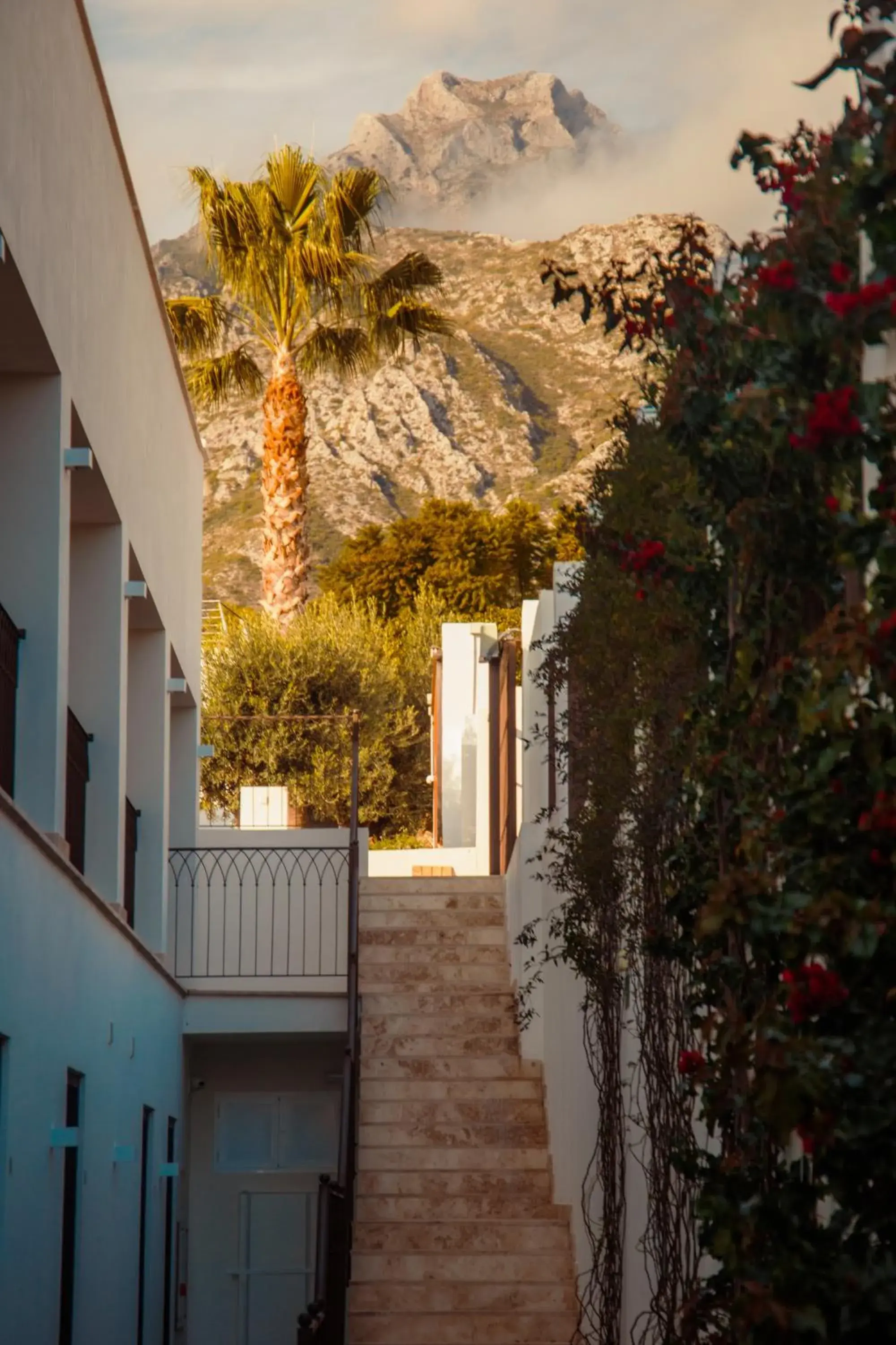 Mountain view in Sierra Blanca Resort Art of Healing Mountain view in Sierra Blanca Resort Art of Healing