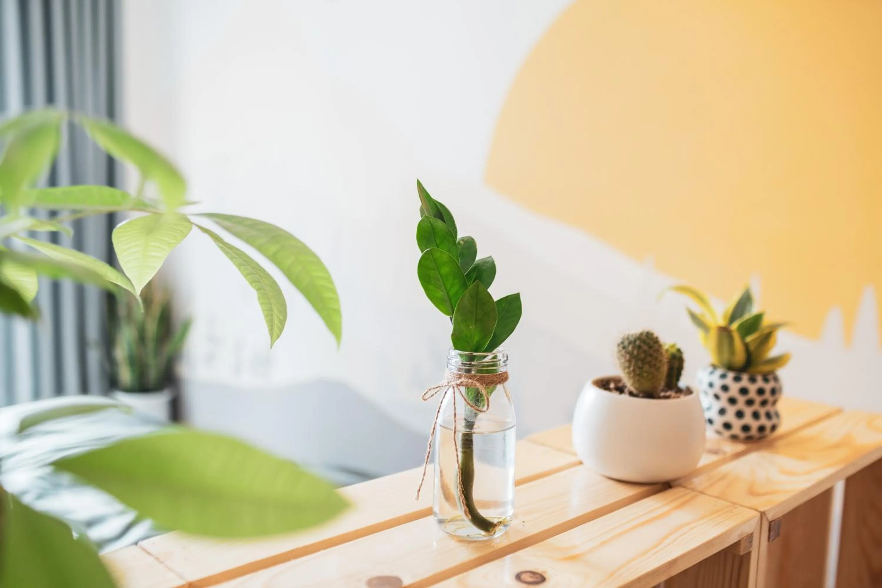Bedroom in Graffiti Hotel