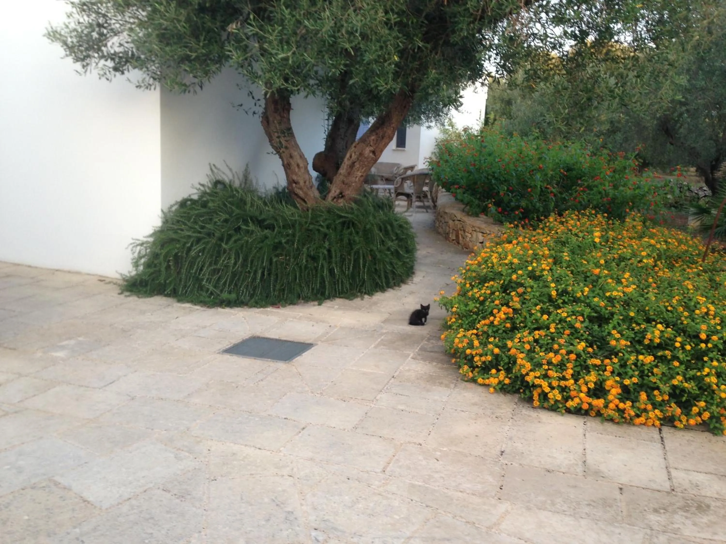 Day in Tenuta De Marco