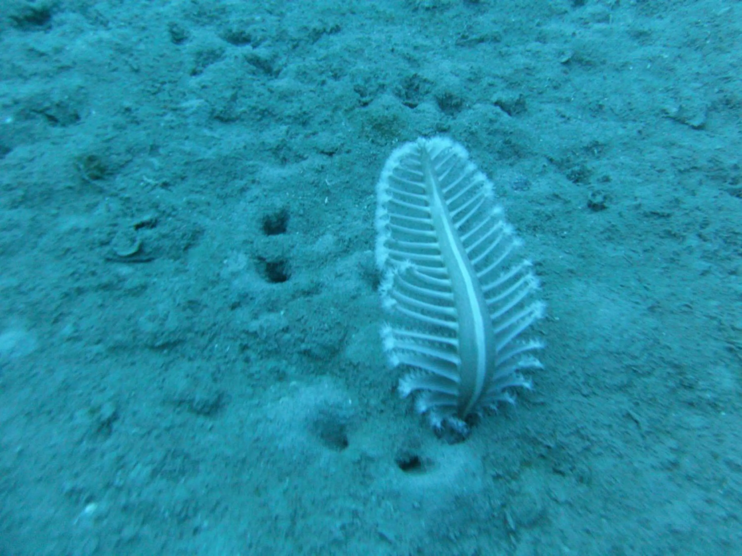 Sports in Miramare B&B di Antonella Ranieri