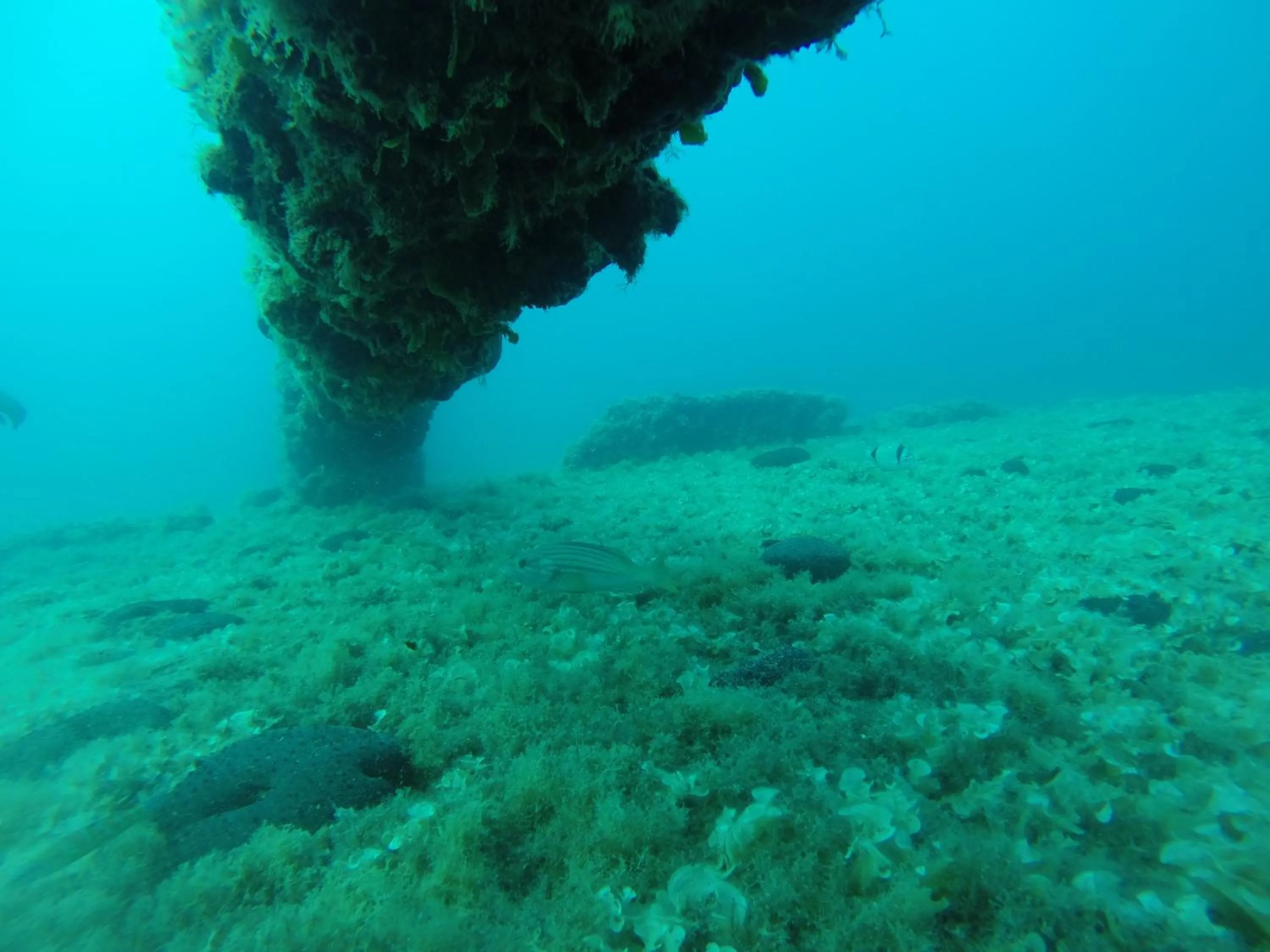 Sports in Miramare B&B di Antonella Ranieri