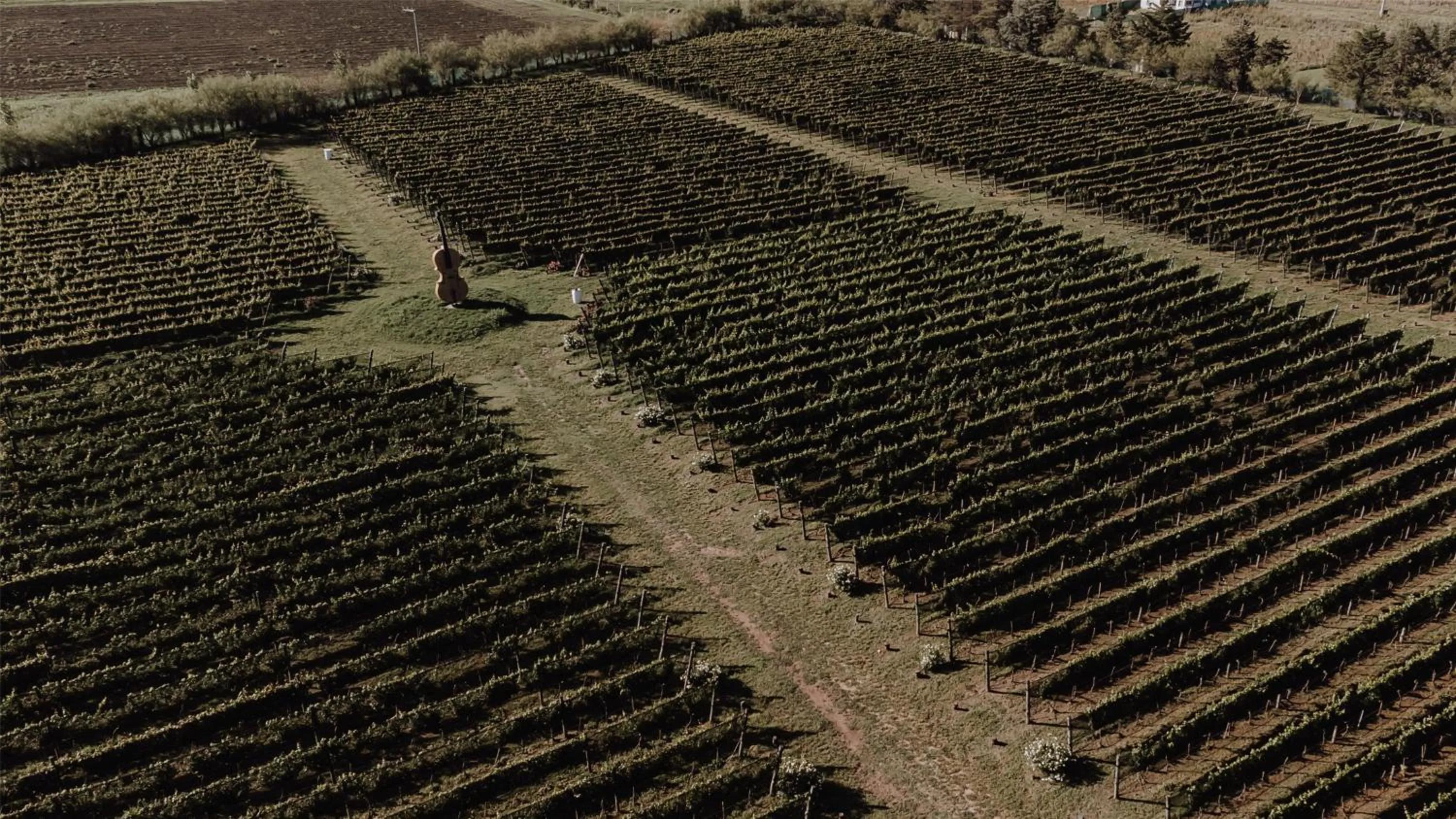 Nearby landmark in La Urumpta Hotel, AKEN MIND