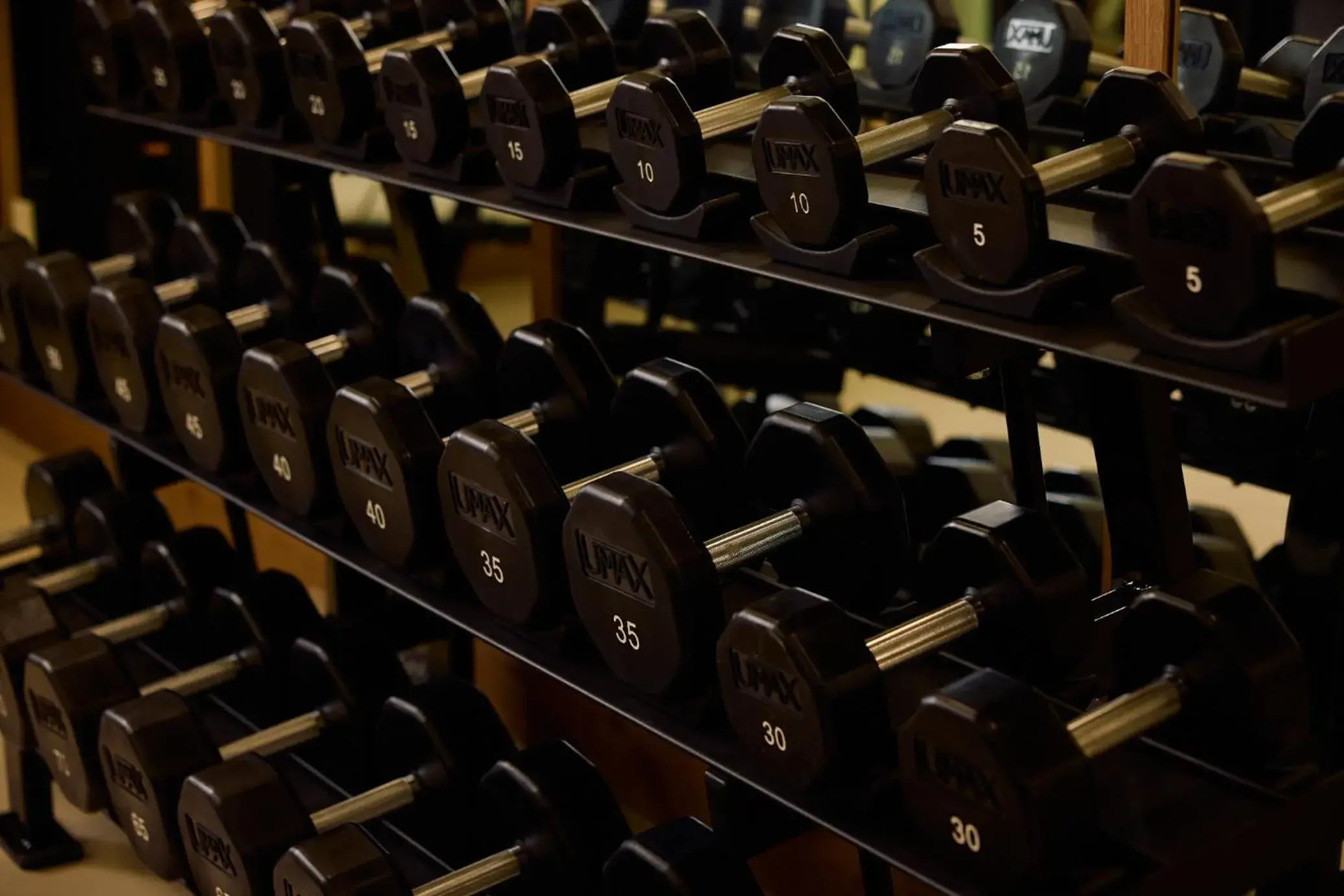 Fitness centre/facilities in The Shelborne by Proper, a Member of Design Hotels Fitness centre/facilities in The Shelborne by Proper, a Member of Design Hotels