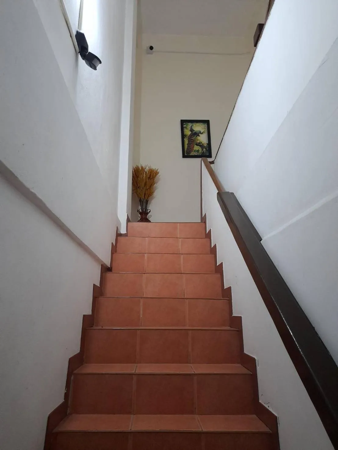 White House By Sorot ตึกขาวโดยโสรฬ