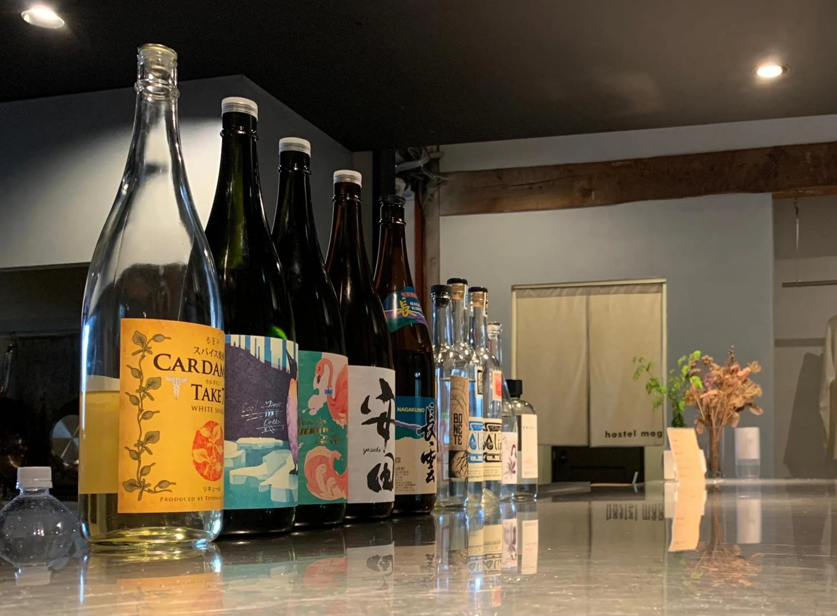 Lounge or bar in hostel mog