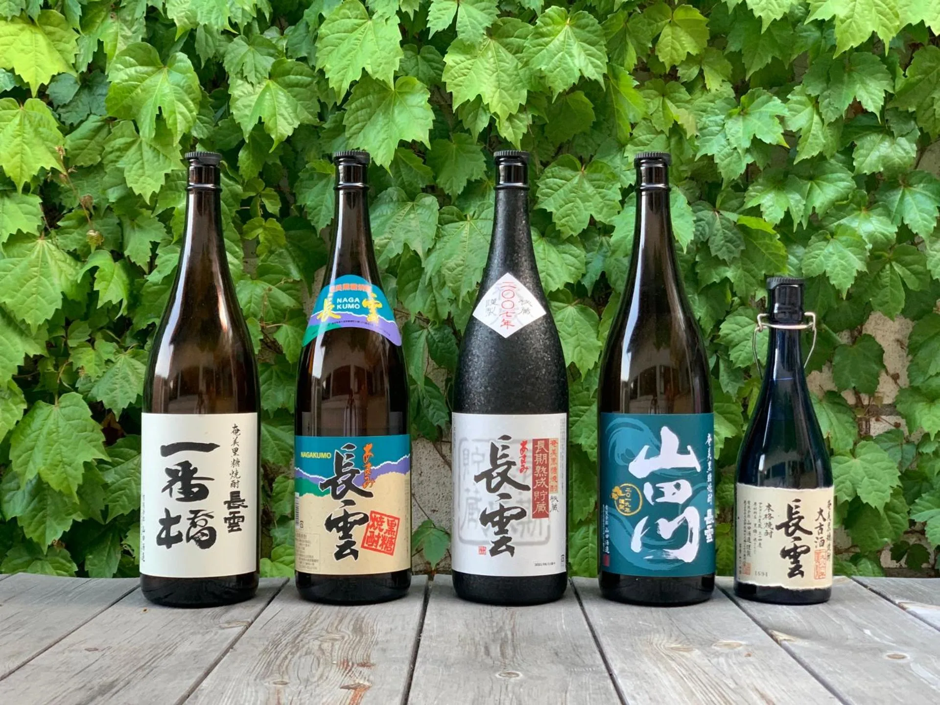 Lounge or bar in hostel mog