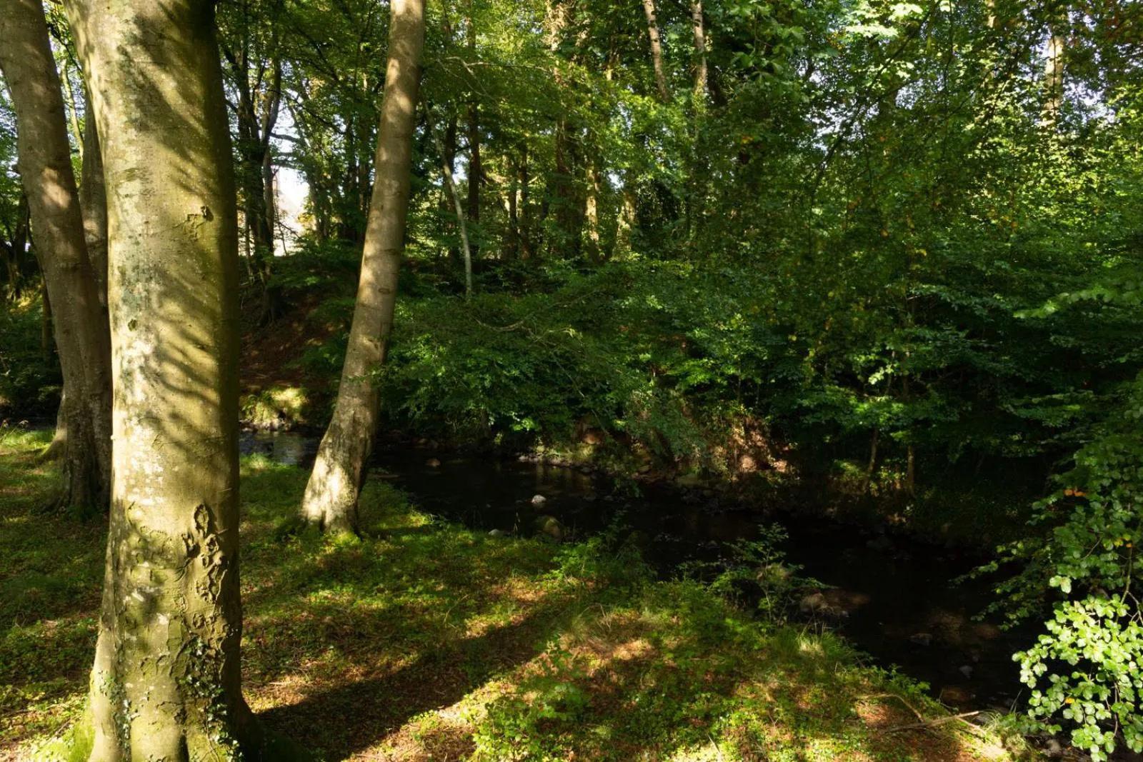 Nearby landmark in Millbrae Lodges