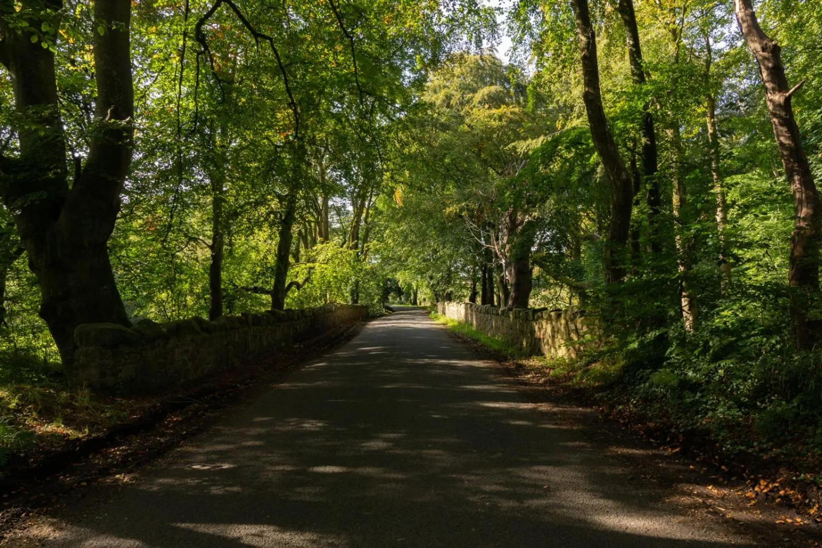 Nearby landmark in Millbrae Lodges