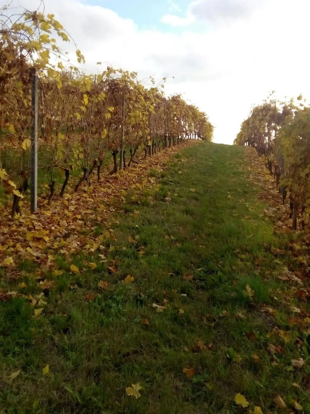 Other in B&B Monferrato La Casa Sui Tetti