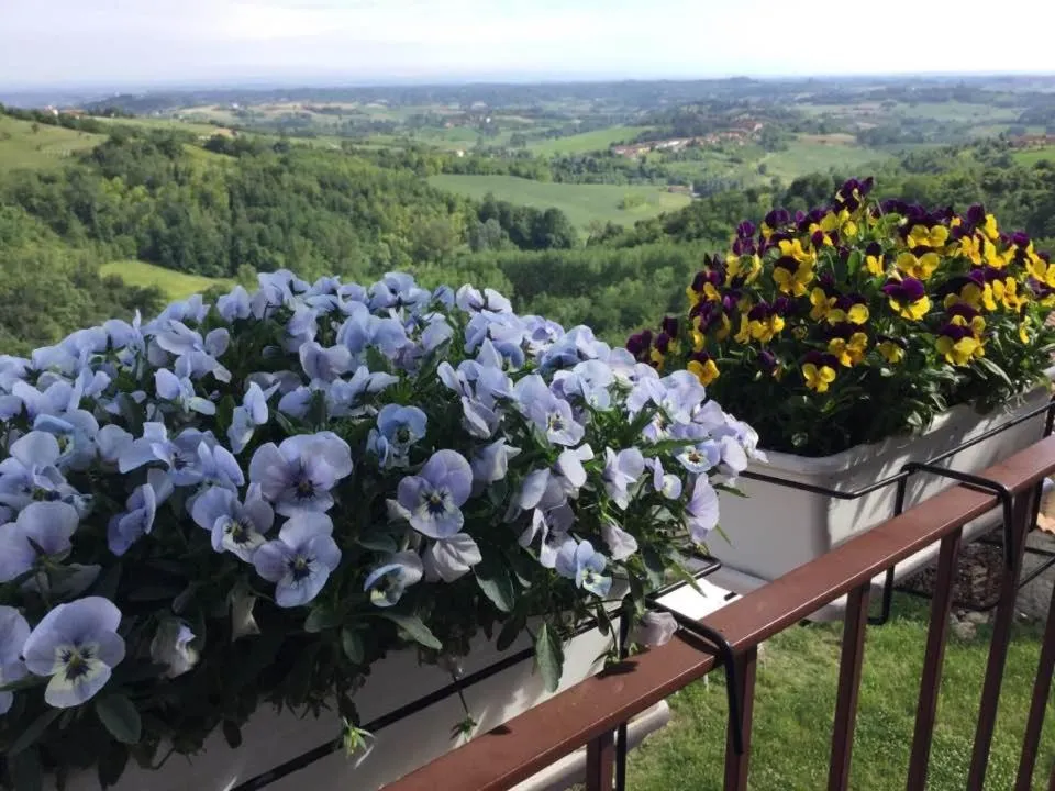 Balcony/Terrace in B&B Monferrato La Casa Sui Tetti
