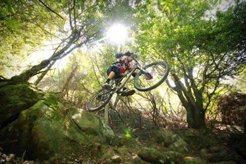 Residence il Mandorlo