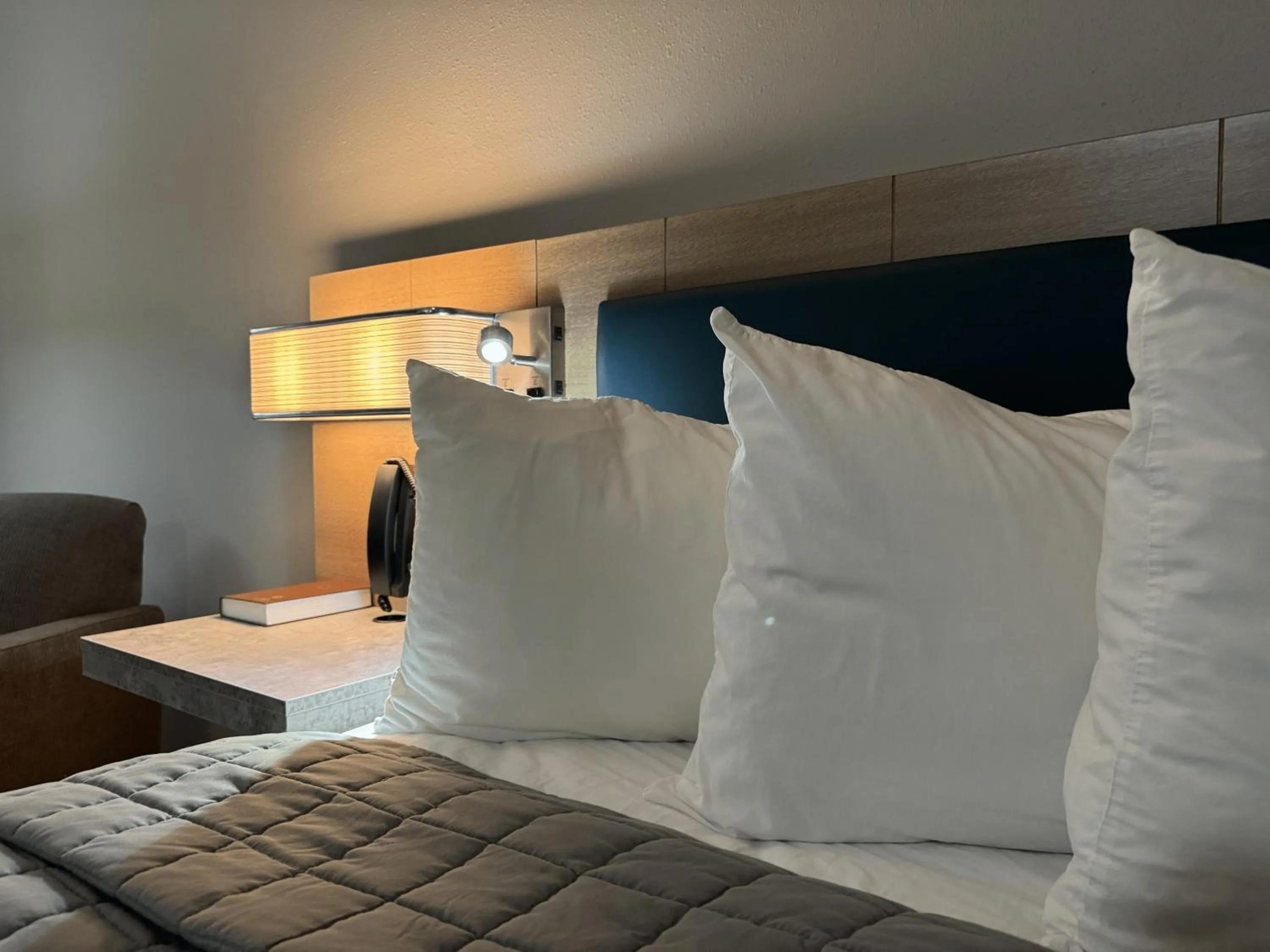 Bed in Bearcat Inn and Suites