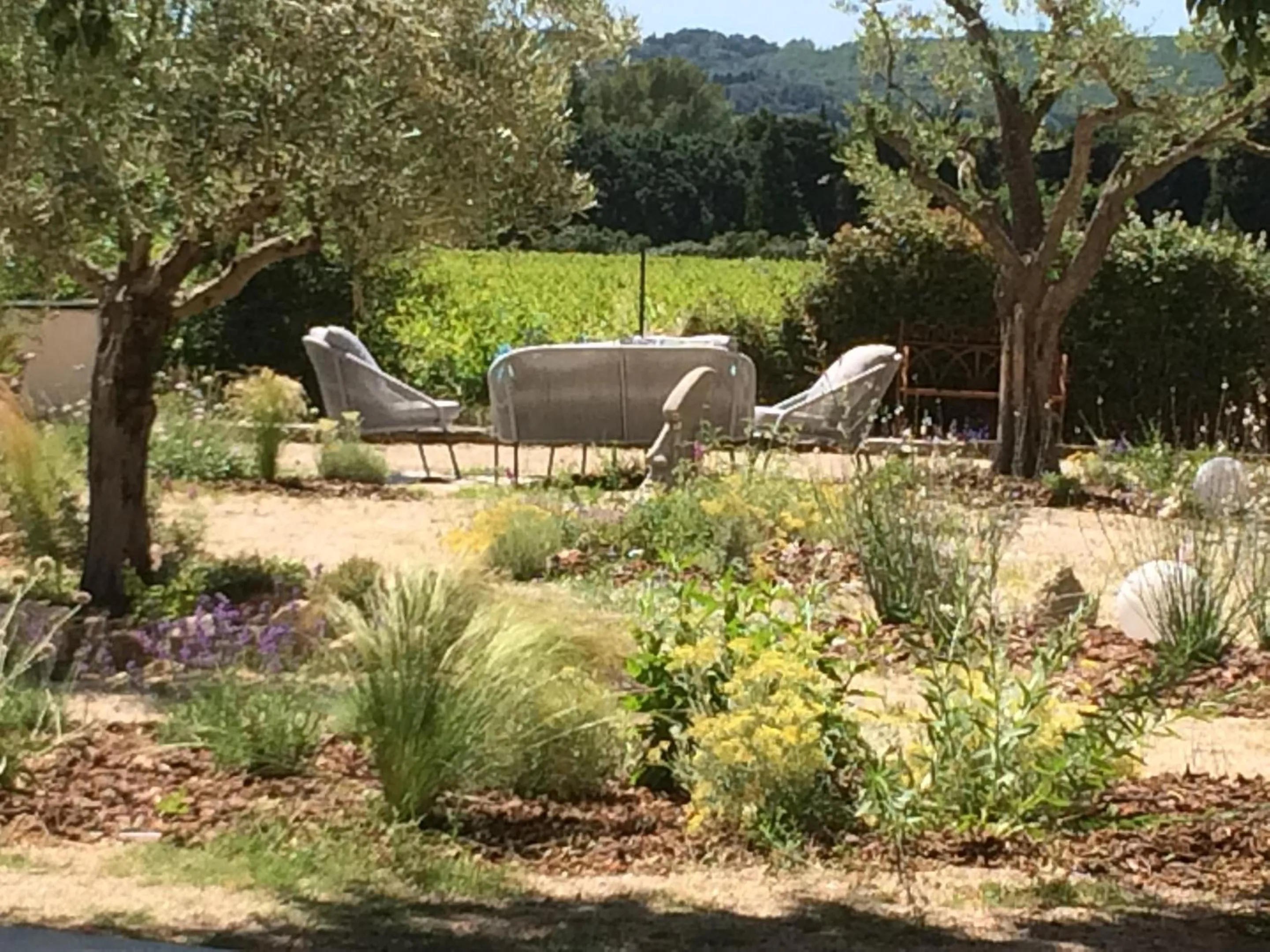 View (from property/room) in Le Mas de la Javone