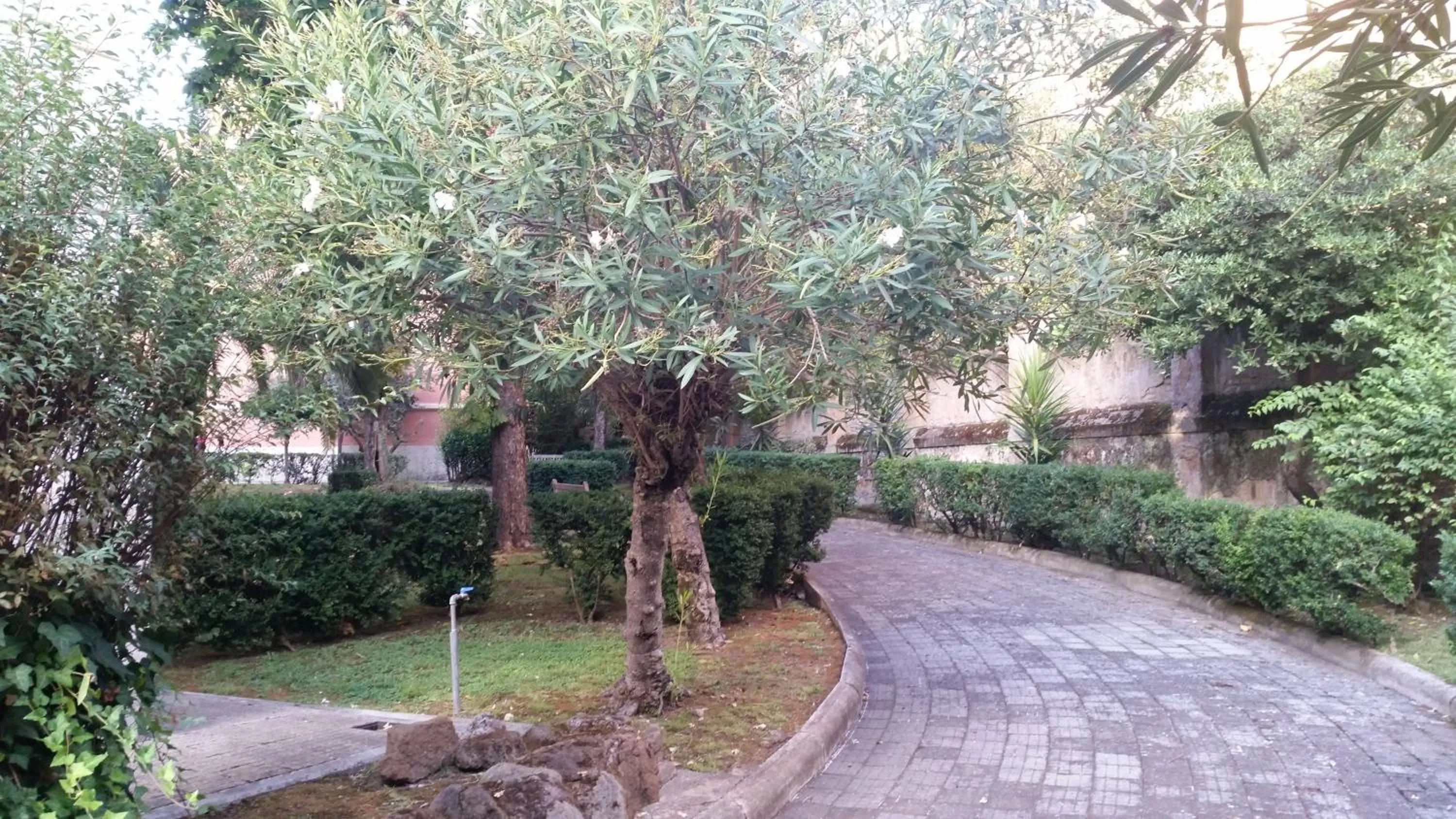 Garden view in Vecchia Roma Resort