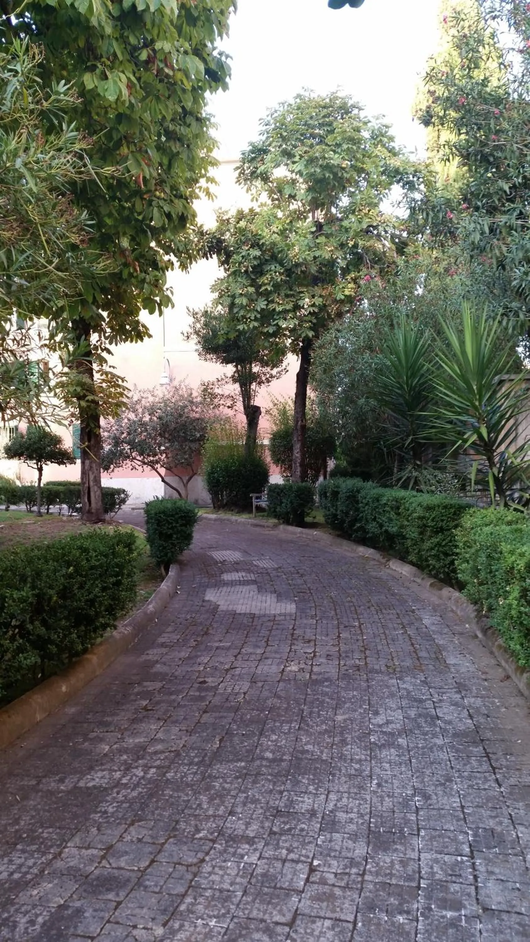 Garden view in Vecchia Roma Resort