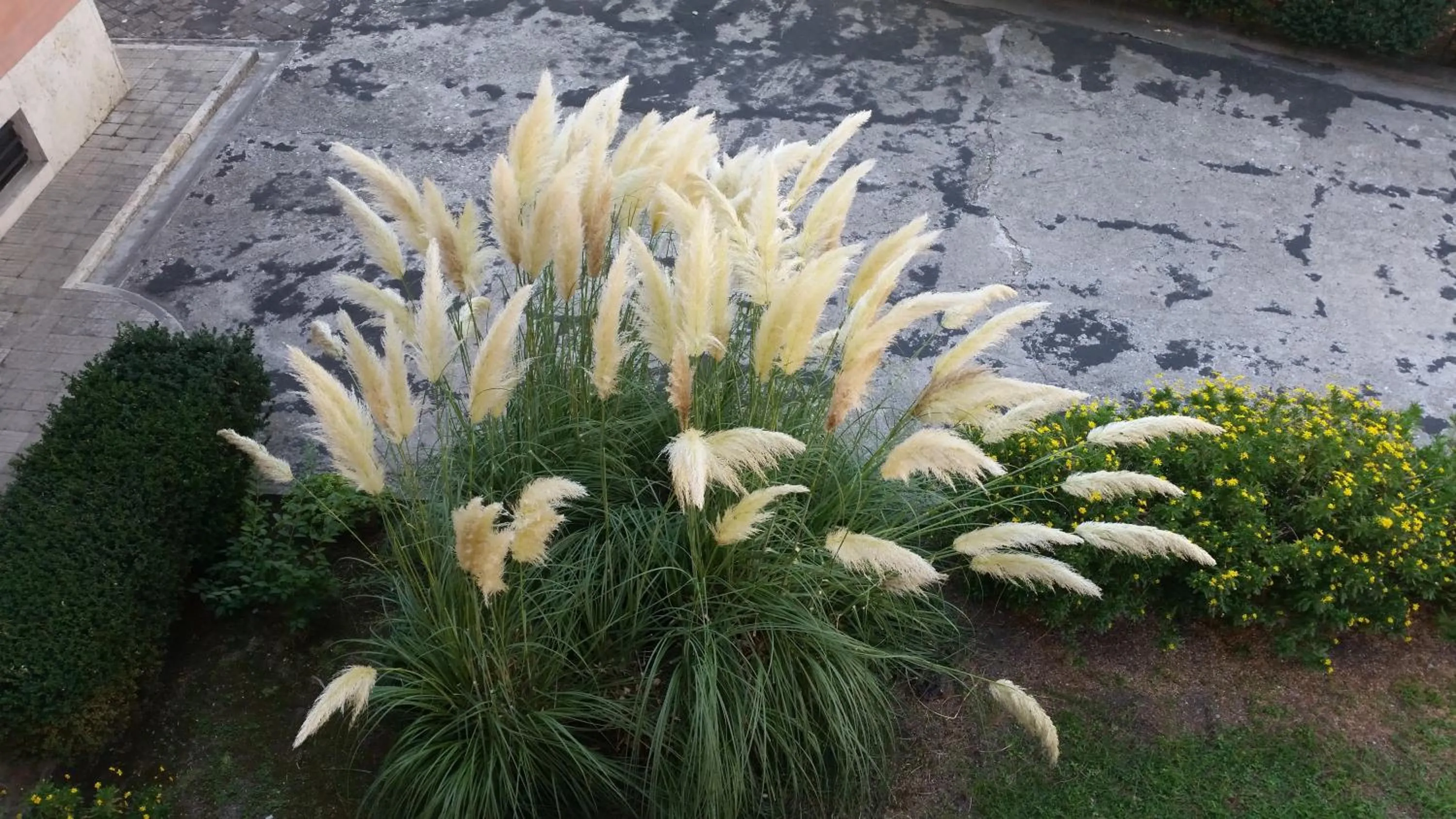 Property building in Vecchia Roma Resort