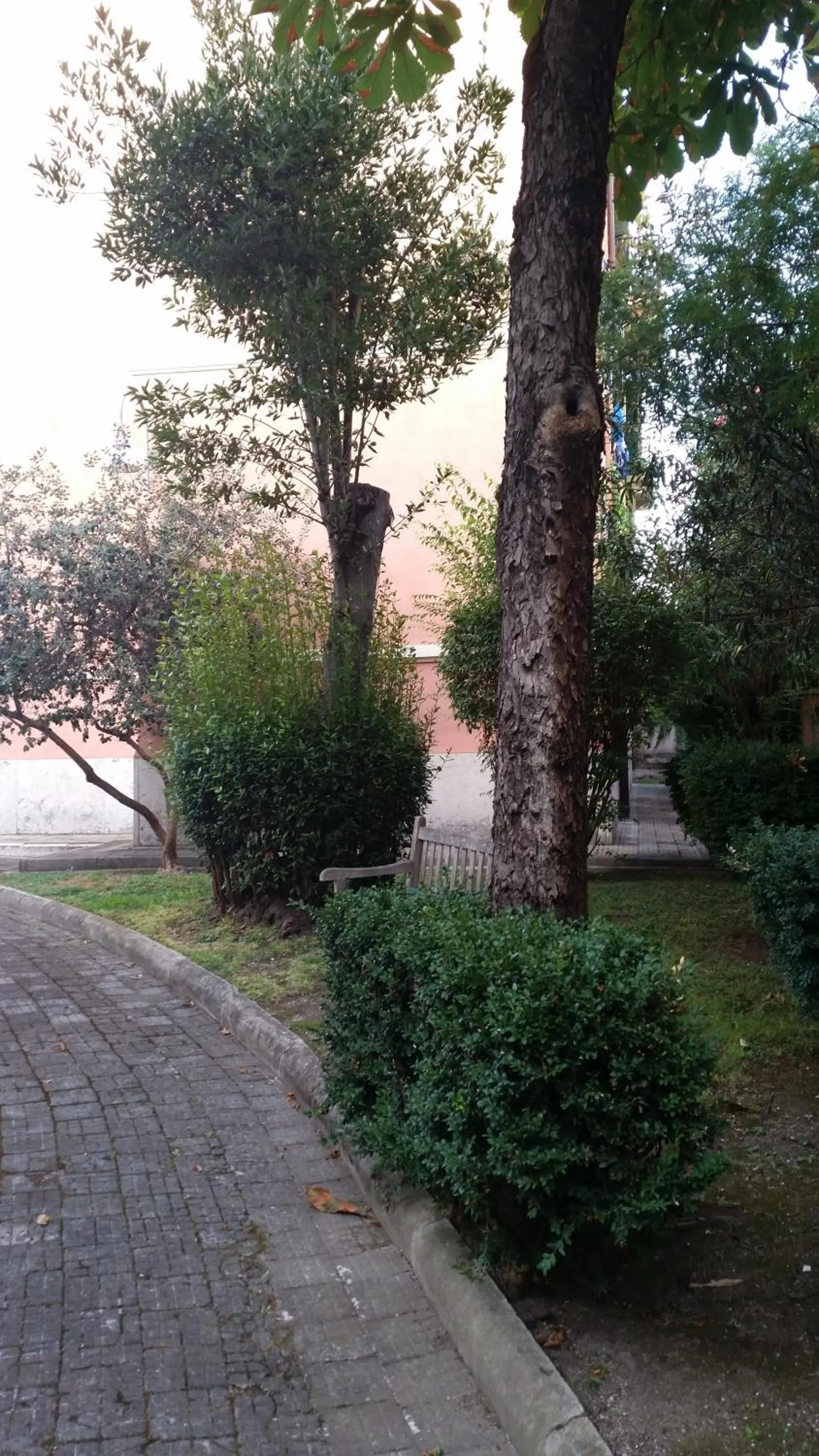 Garden view in Vecchia Roma Resort