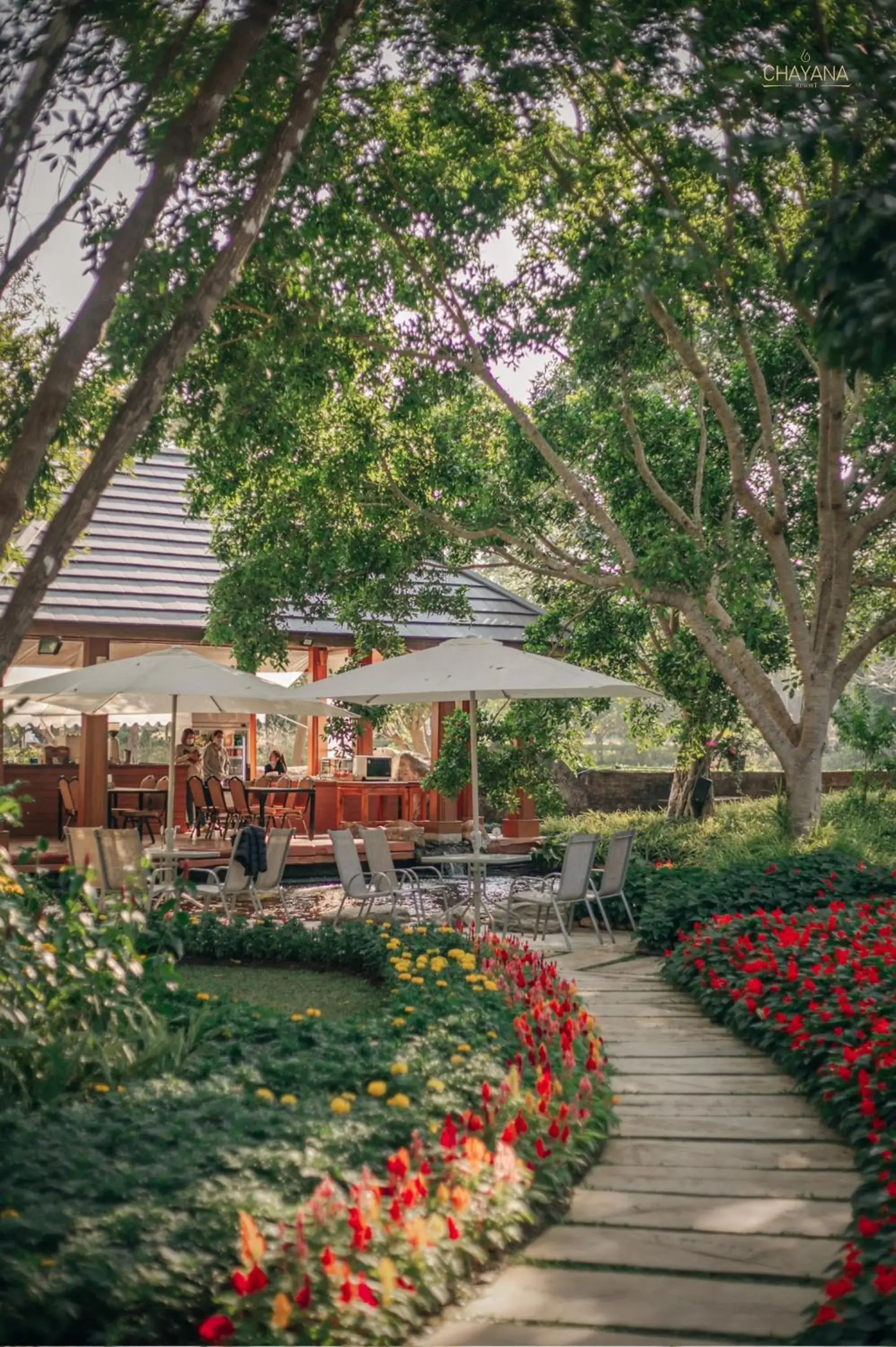 Restaurant/places to eat in Chayana Resort Restaurant/places to eat in Chayana Resort