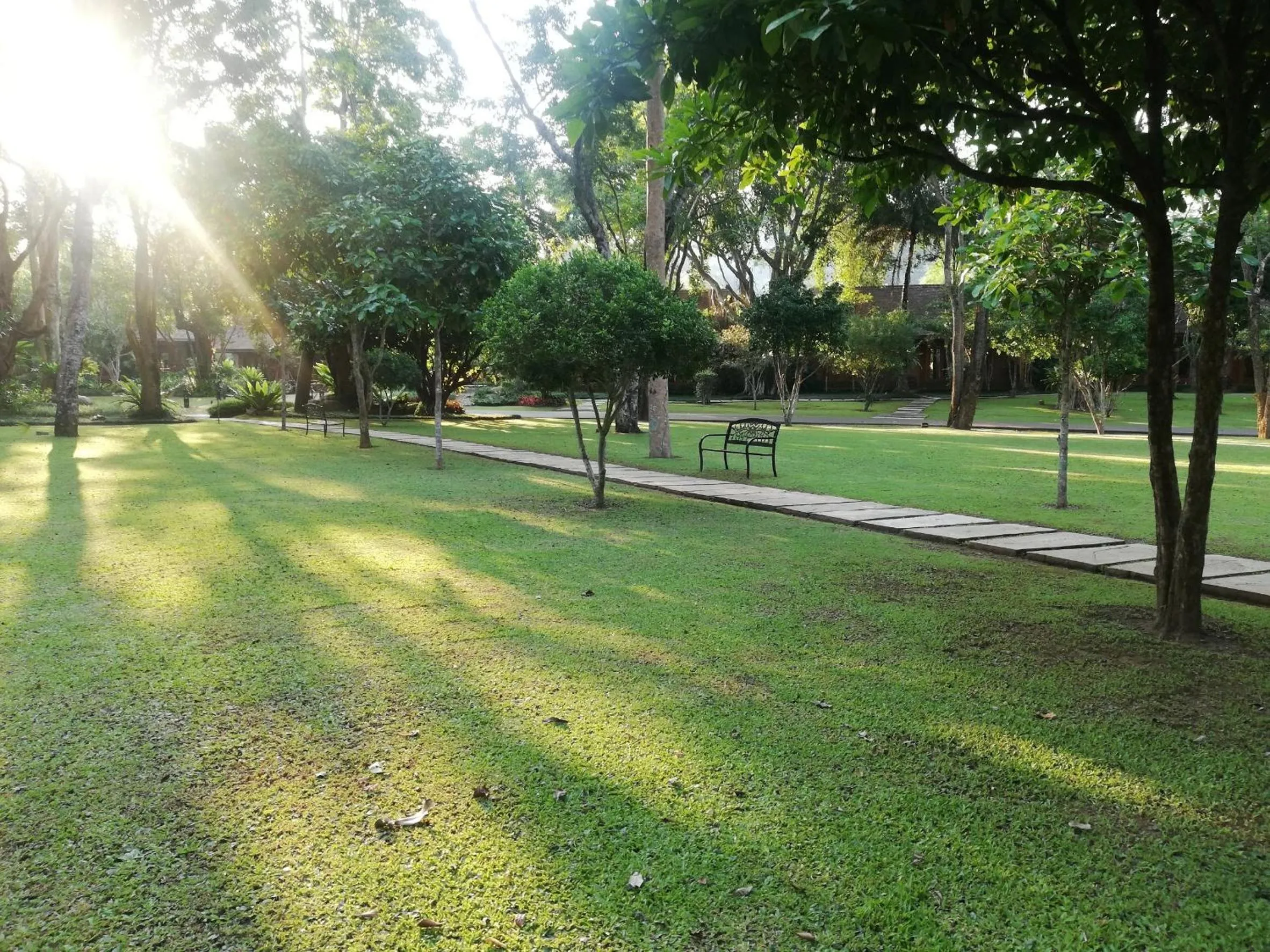 Garden in Chayana Resort