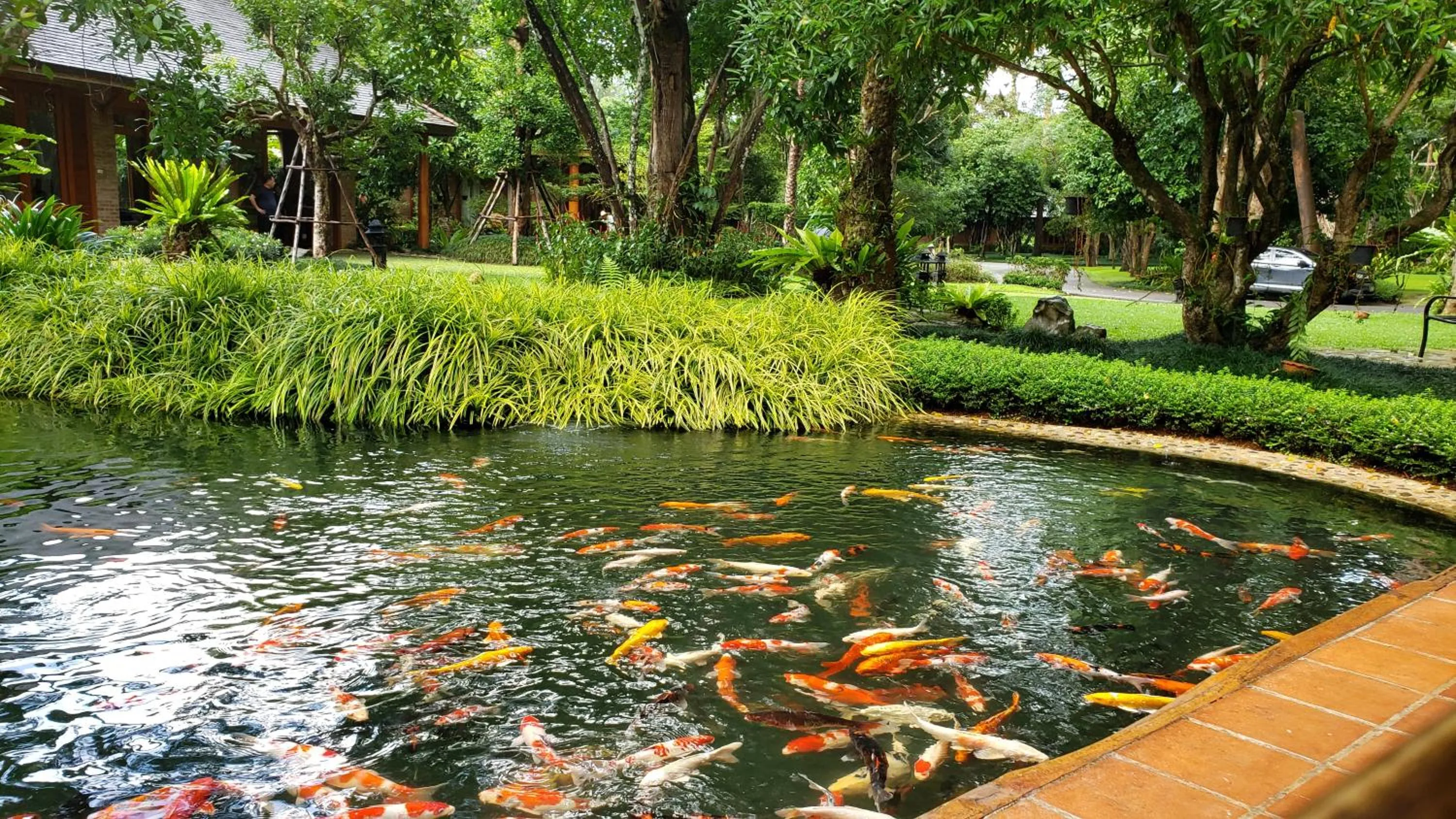 Property building in Chayana Resort