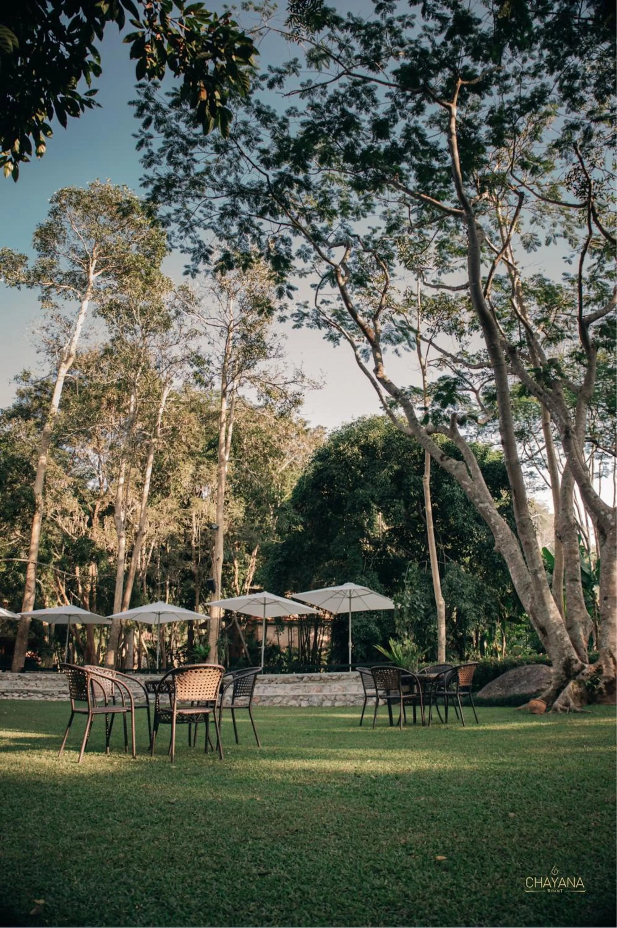 Garden in Chayana Resort
