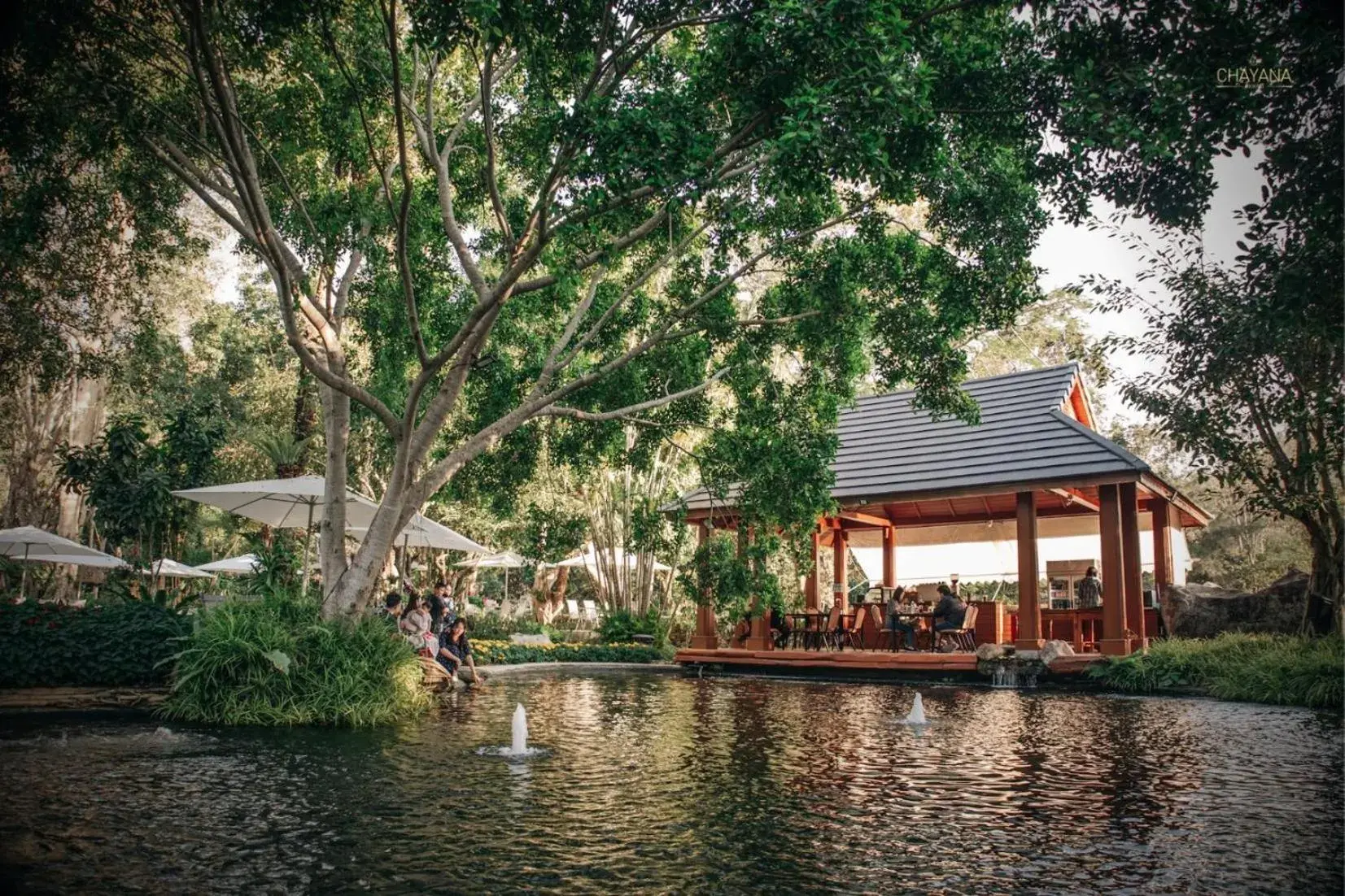 Restaurant/places to eat in Chayana Resort Restaurant/places to eat in Chayana Resort